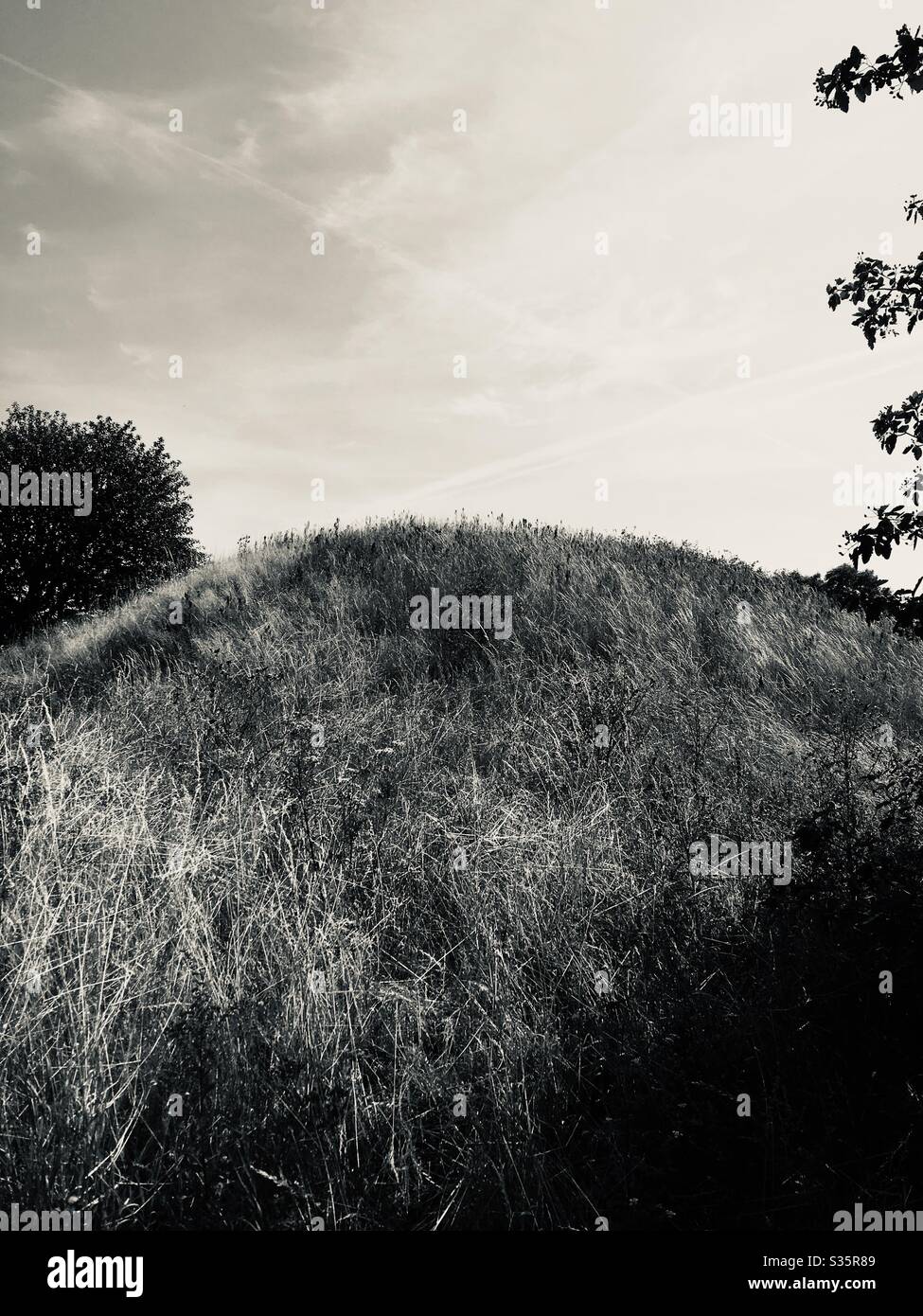 Burial Mound Sweden - Smartphone Captured Stock Image