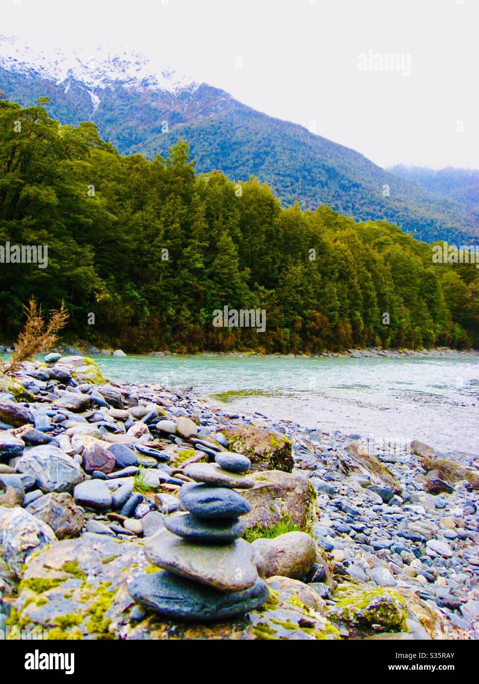 Pelorus river new zealand hi-res stock photography and images - Alamy