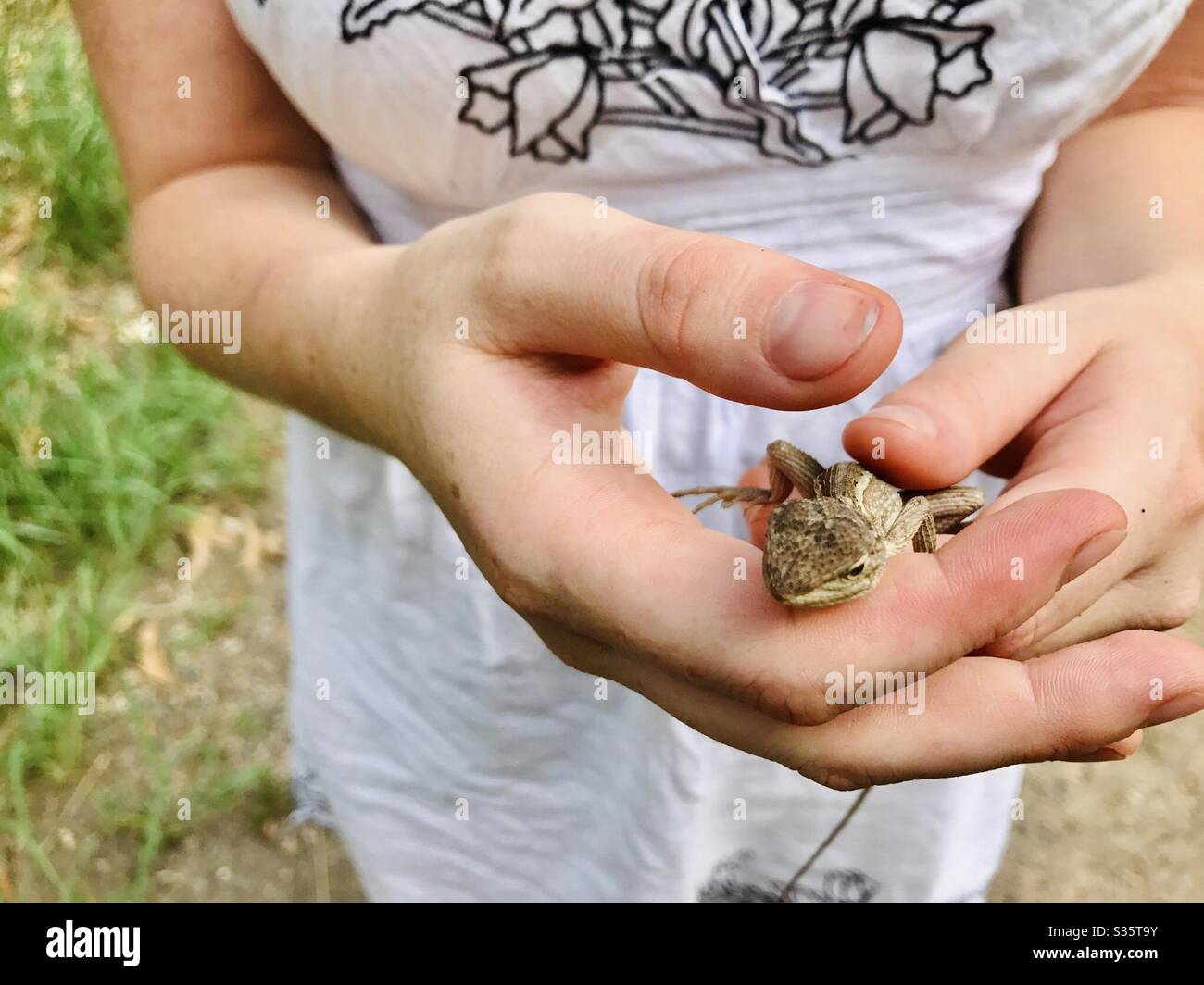 Girl holding baby bearded dragon Stock Photo Alamy