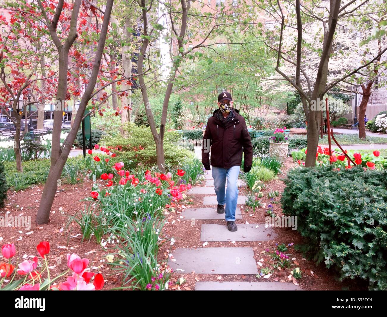 Mature man wearing a face mask takes a walk in Tudor city greens during the spring of 2020 during the COVID-19 pandemic, NYC, USA - Smartphone Captured Stock Image