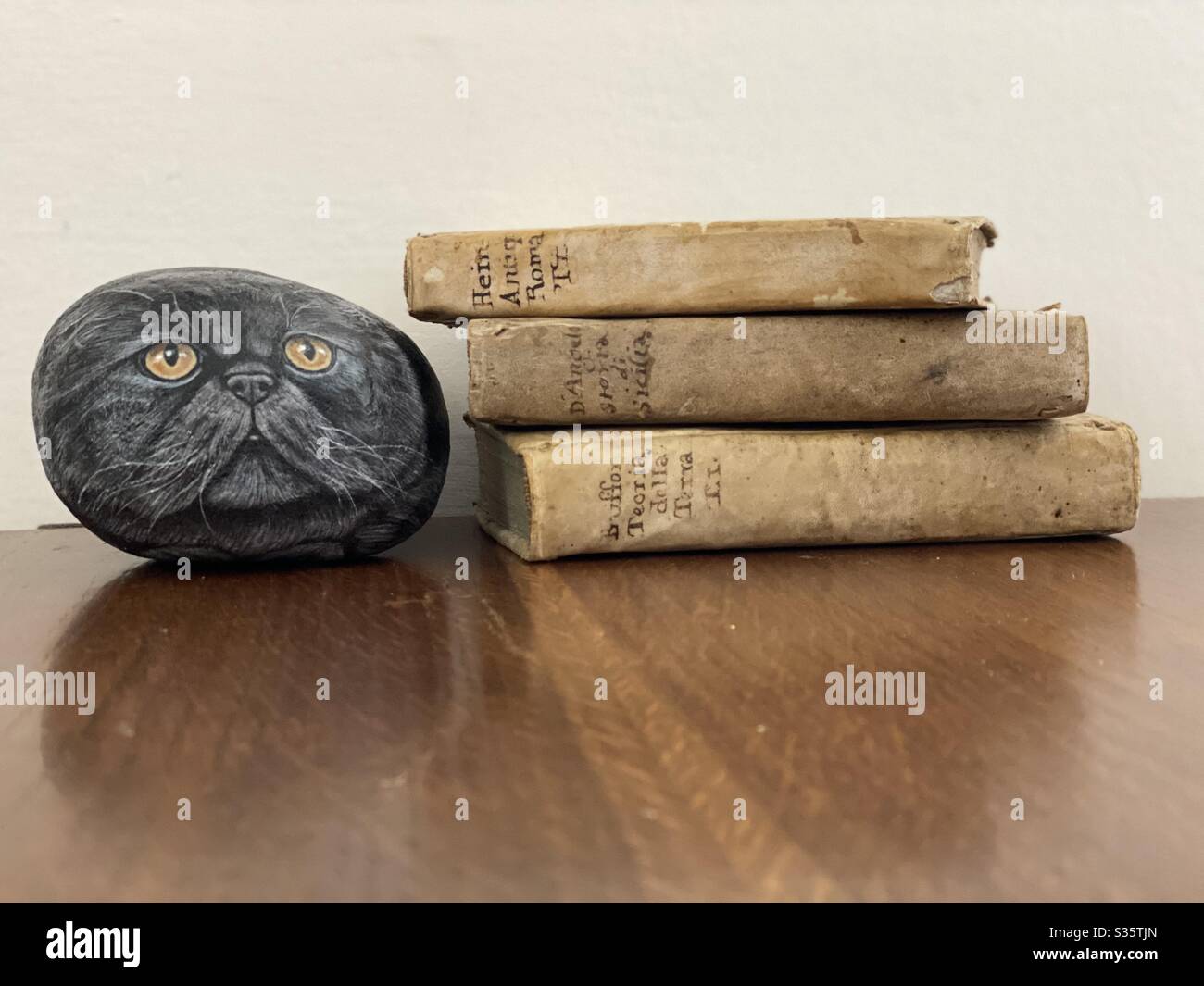 Old books with a stone cat, unique paperweight - Smartphone Captured Stock Image