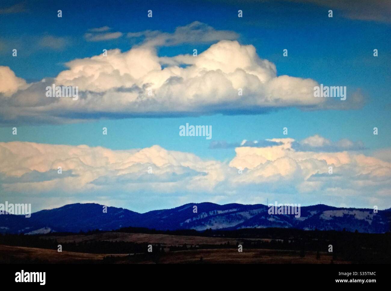 Country road, blue sky, white clouds, beautiful evening - Smartphone Captured Stock Image