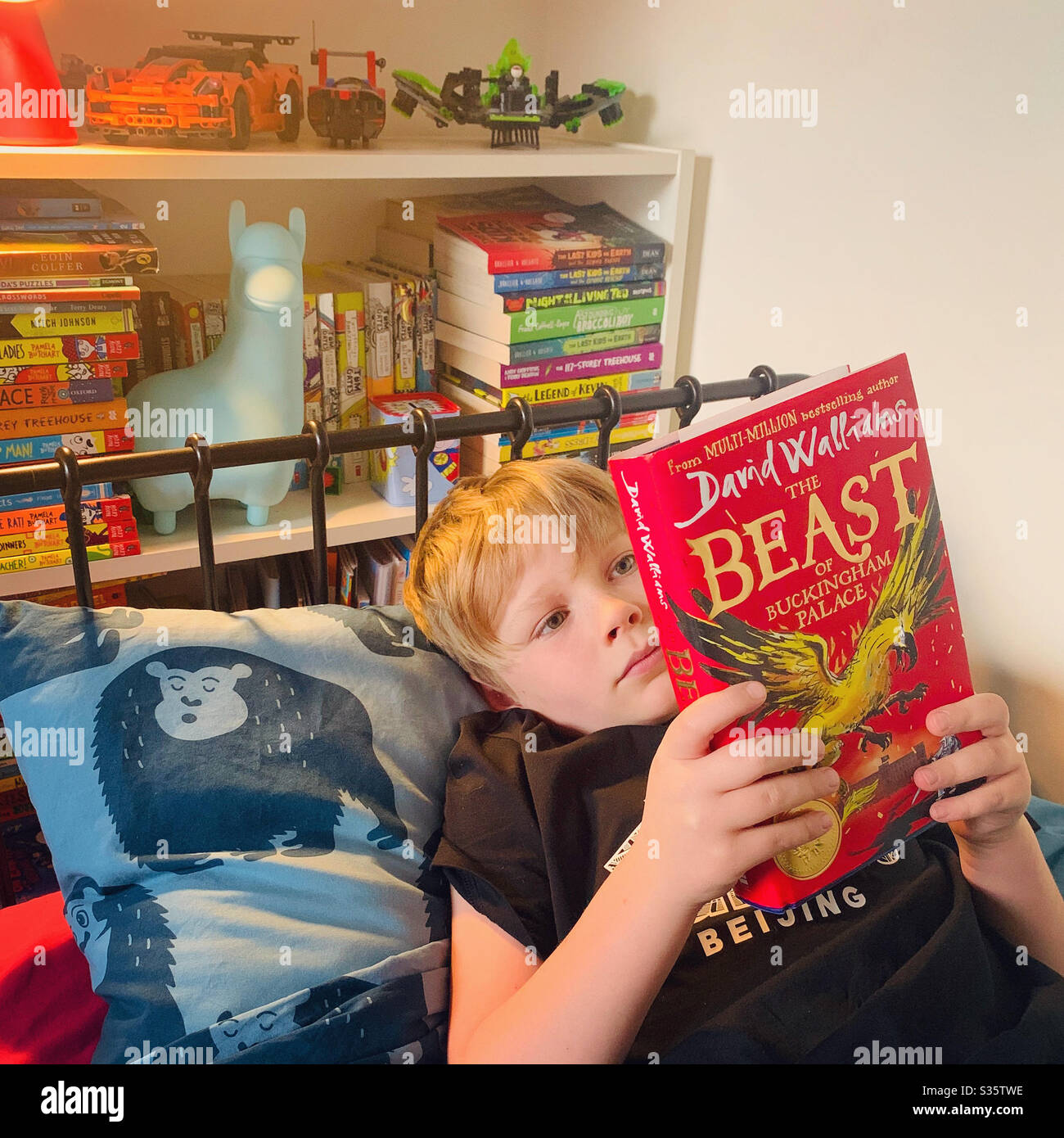Boy reading The Beast of Buckingham Palace - Smartphone Captured Stock Image
