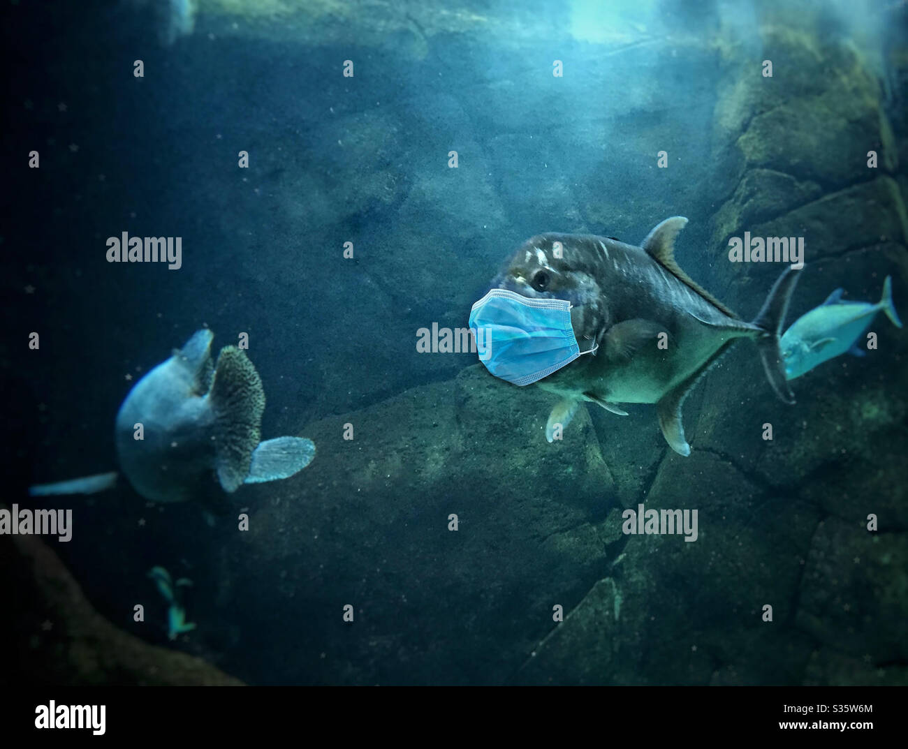 Fish mask hi-res stock photography and images - Alamy