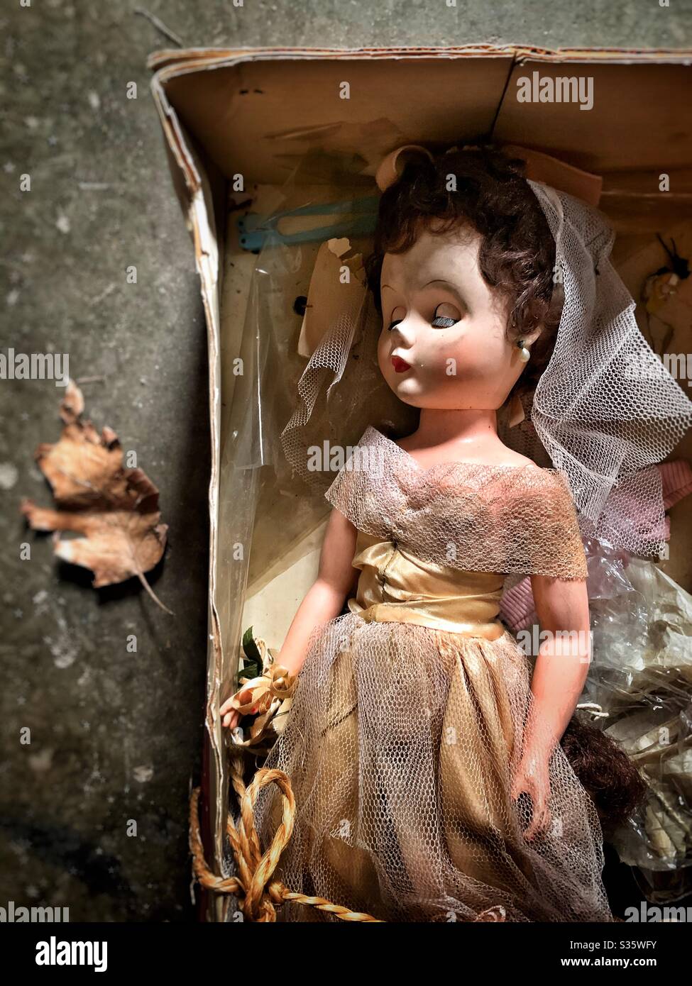 Abandoned brides doll in box Stock Photo
