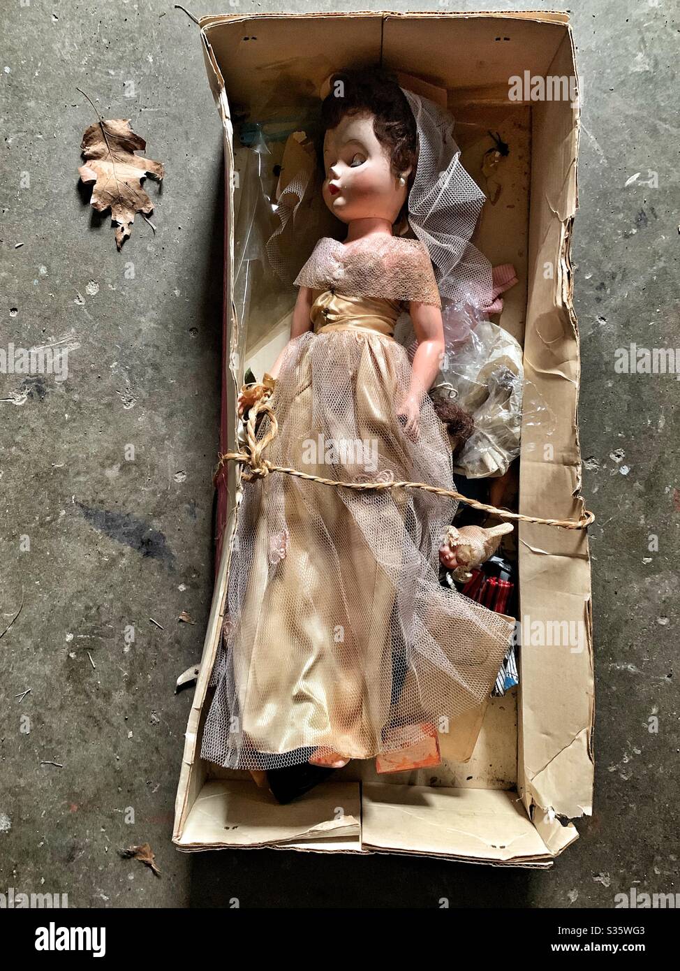 Vintage antique Brides doll in box Stock Photo
