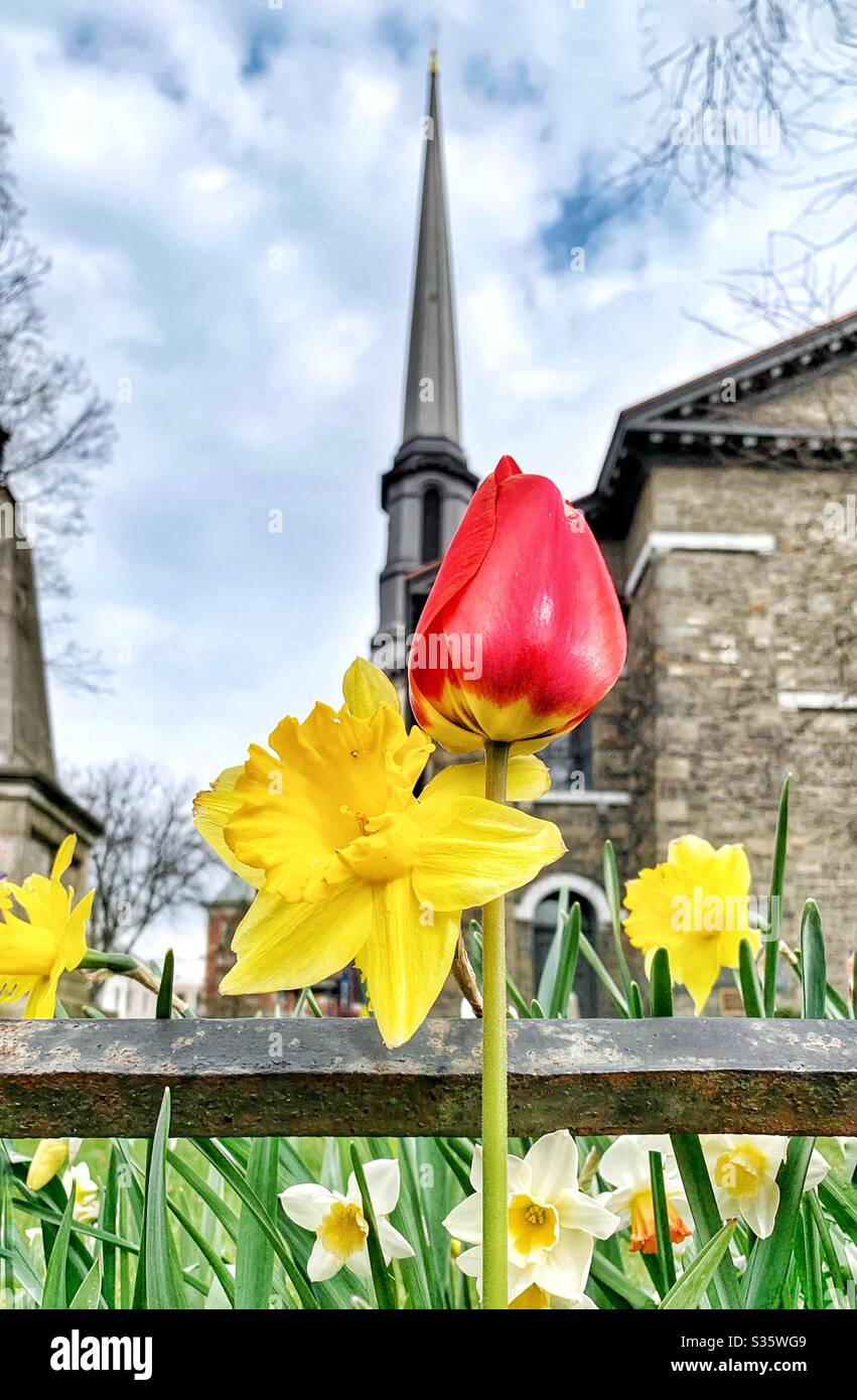 Church yard flowers blooming and church spire Stock Photo