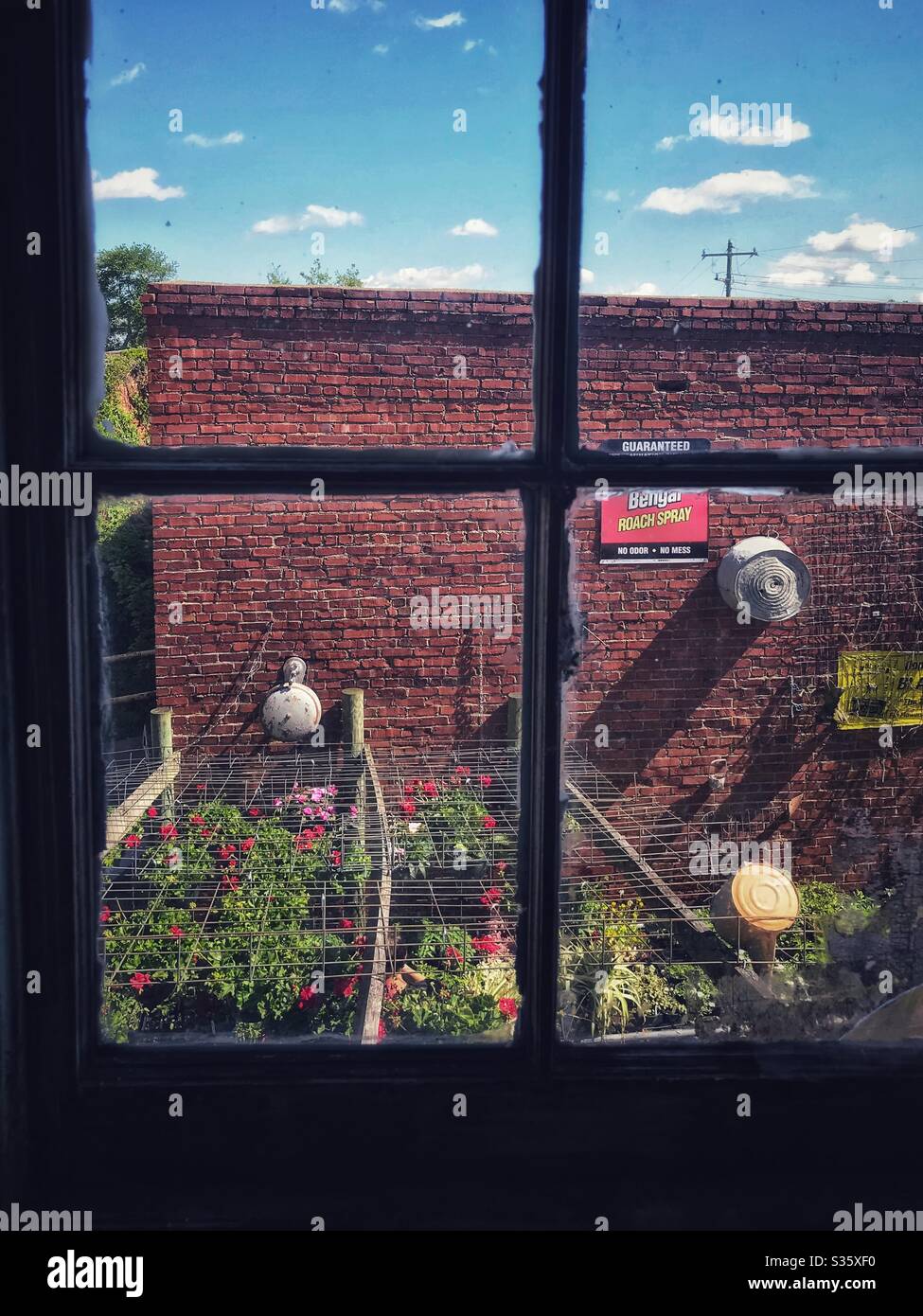 View from upper floor of farm supply store to garden section outside - Smartphone Captured Stock Image