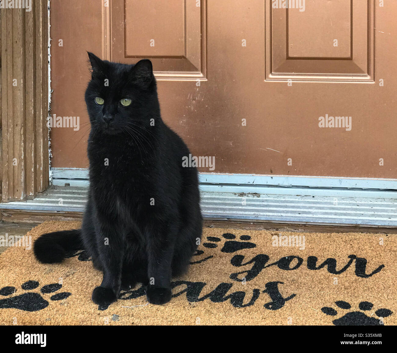 https://c8.alamy.com/comp/S35XMB/black-cat-on-wipe-your-paws-doormat-S35XMB.jpg