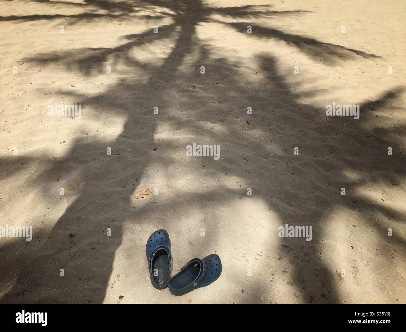 Palm tree shadows and a pair of Crocs on sand beach Stock Photo