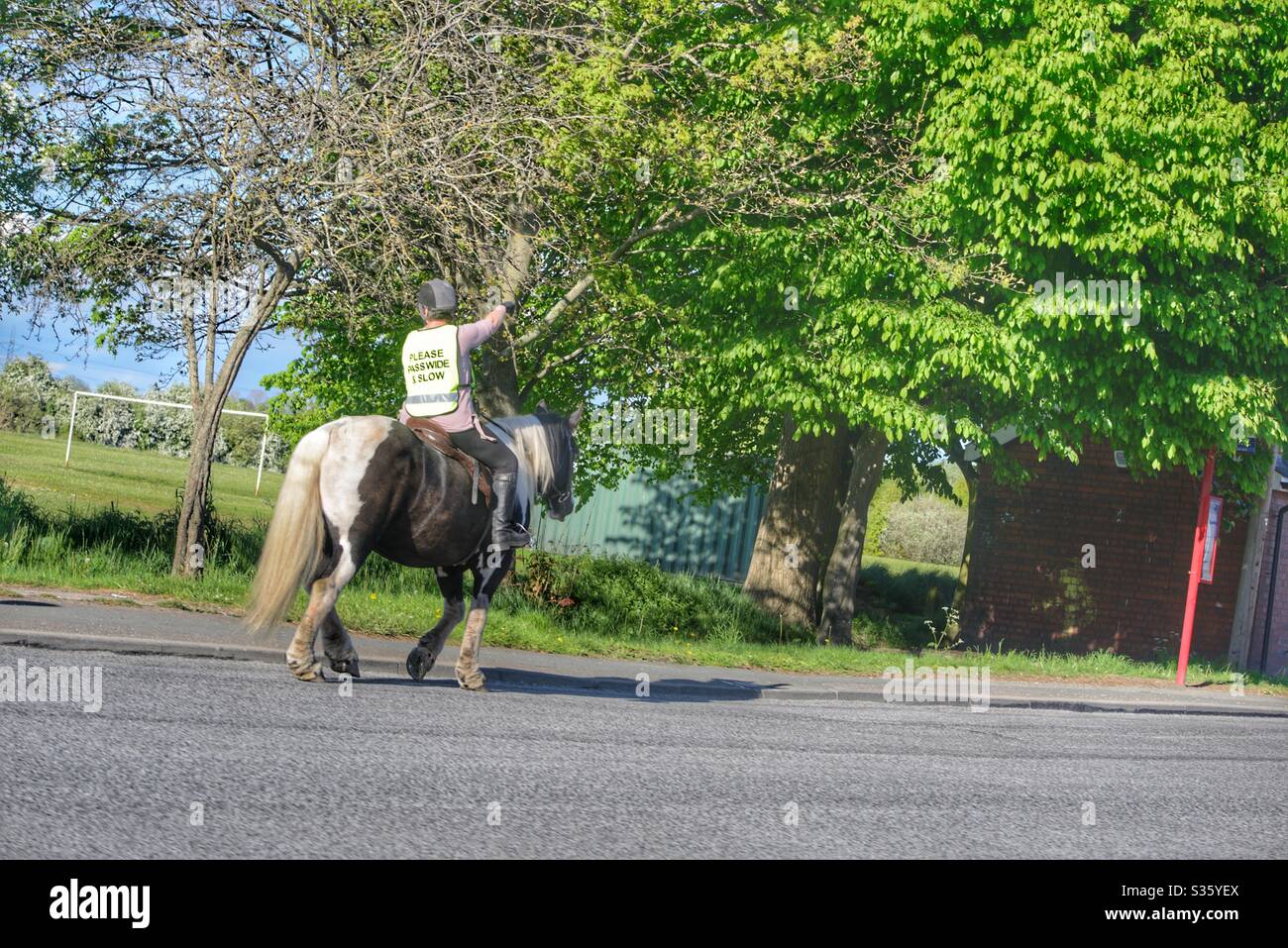 Riding horse through Wakefield in England Stock Photo Alamy