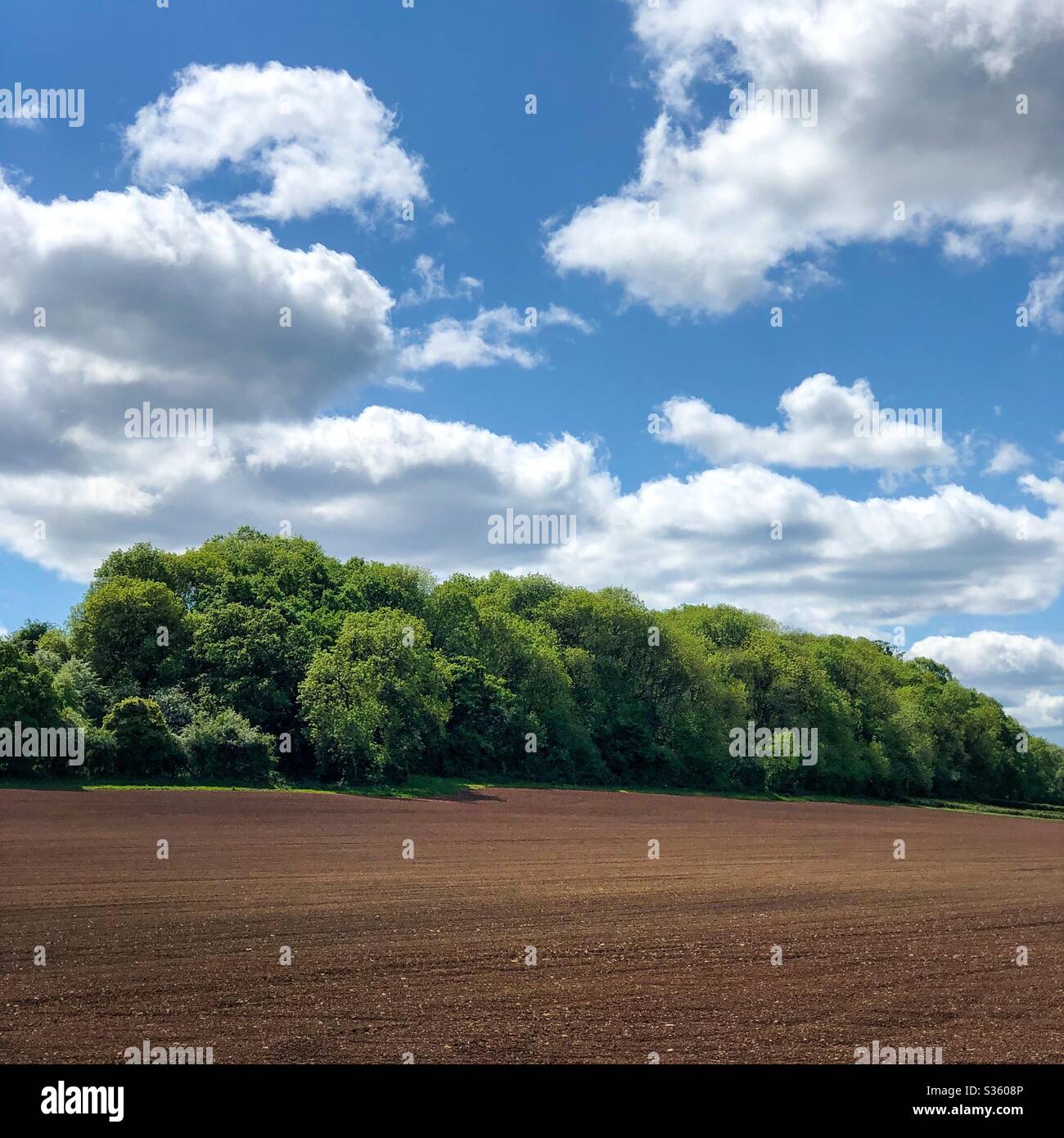Agriculture and nature together - Smartphone Captured Stock Image