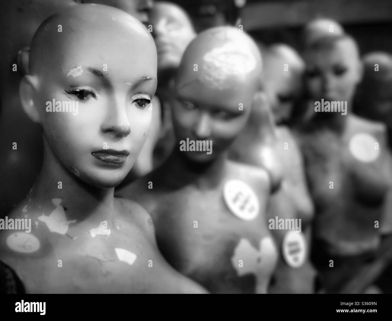 Mannequin bodies black hires stock photography and images Alamy