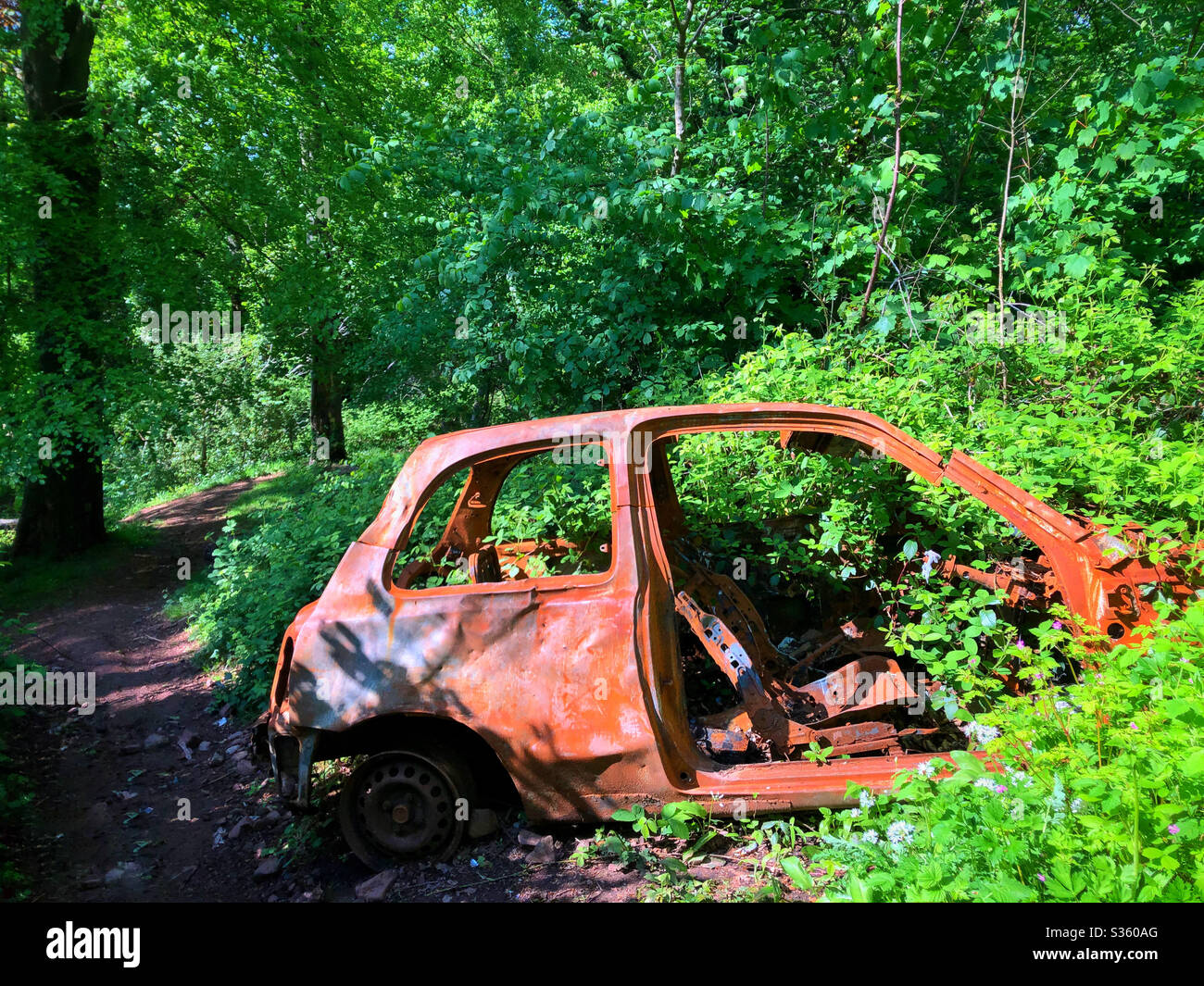 Abandoned rusted and burnt out car in woodland, Cardiff South Wales. - Smartphone Captured Stock Image