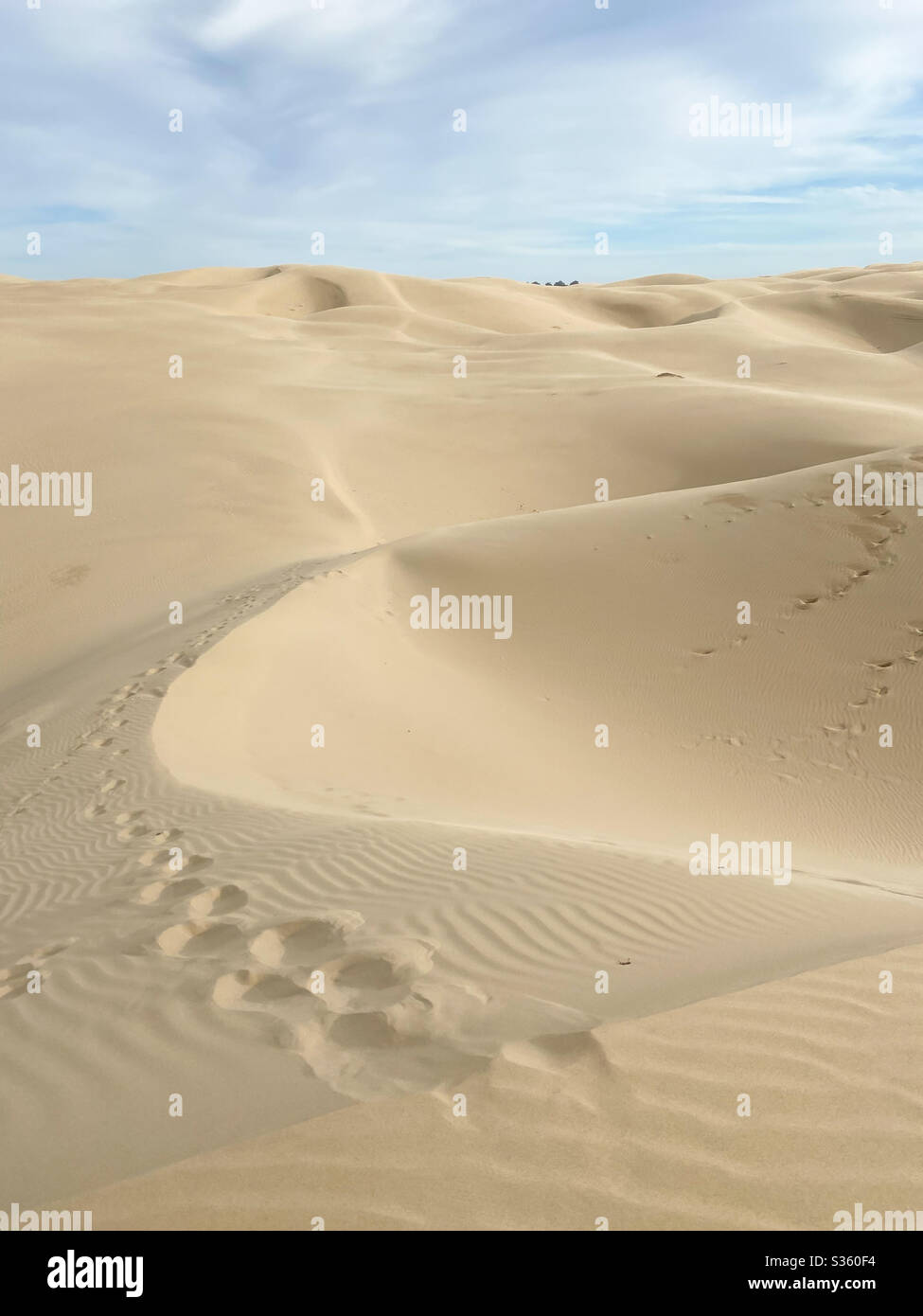 Beach sand dunes california hi-res stock photography and images - Alamy