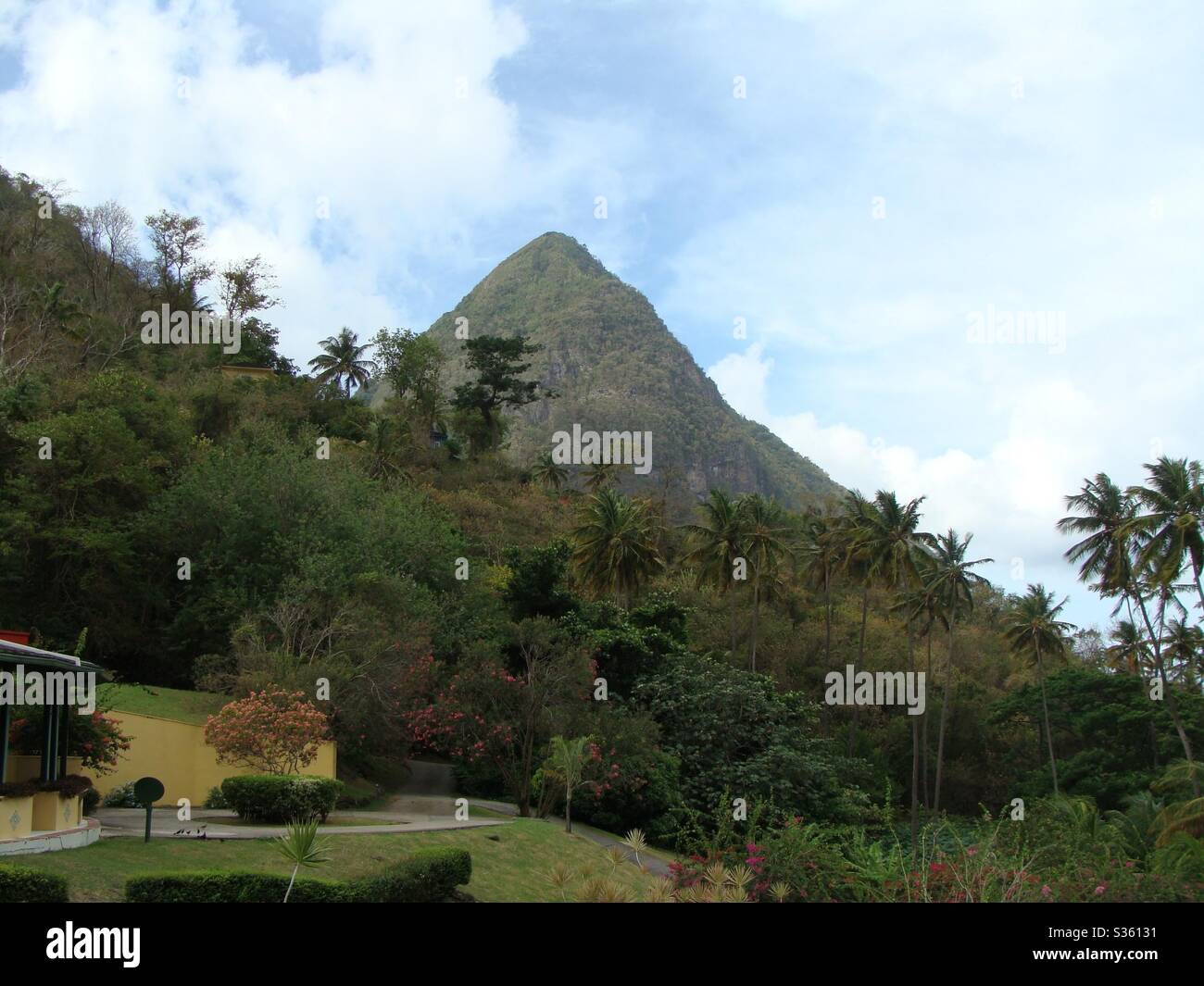 The pitons in St. Lucia Stock Photo Alamy