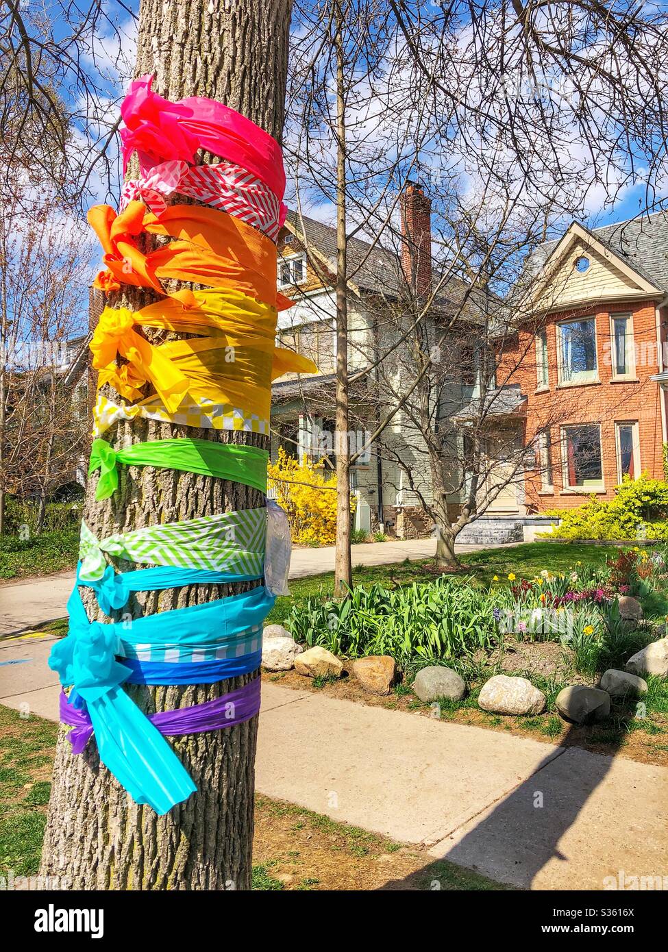 Rainbow coloured fabric tied around the tree in honour of the frontline workers during the Covid-19, 2020, pandemic. Stock Photo