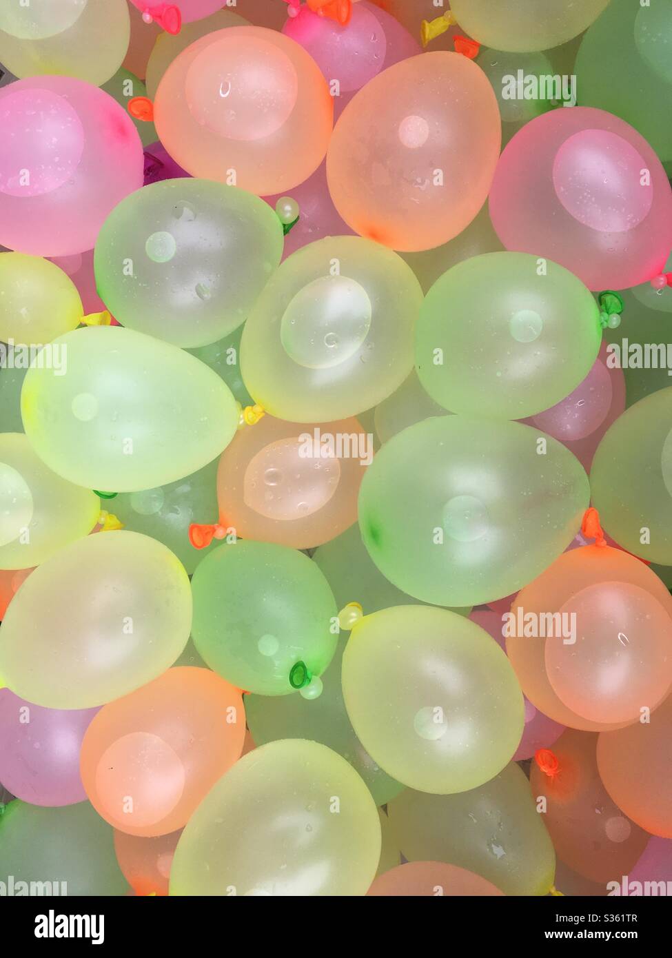 Filled water balloons Stock Photo Alamy