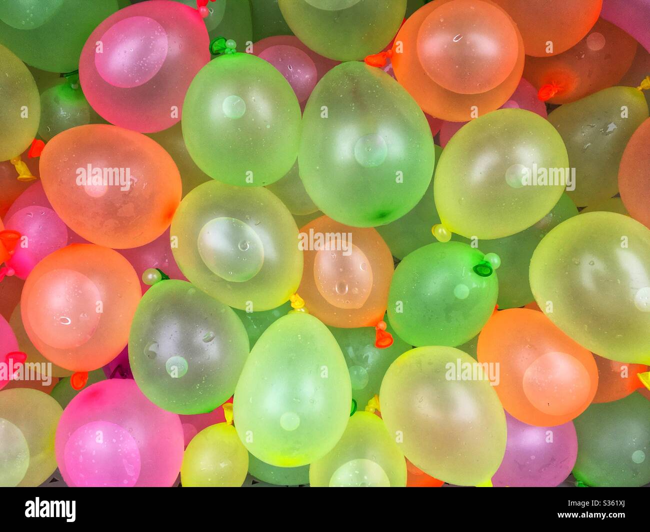 Water balloons filled and ready for a water fight Stock Photo Alamy