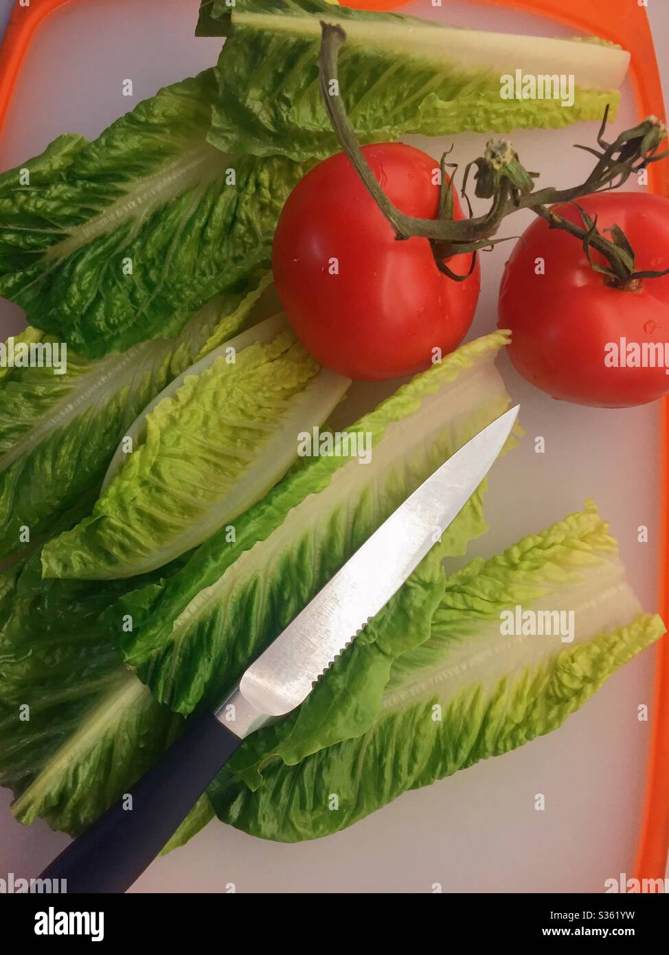 Pre-meal salad preparation on a cutting board features a paring knife, Romain lettuce leaves and a pair of vine ripe and tomatoes - Smartphone Captured Stock Image