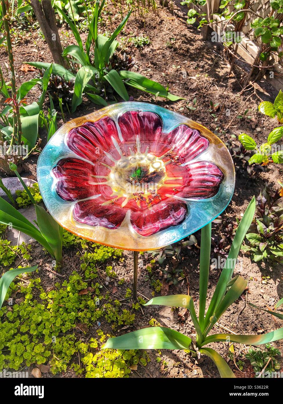 Floral garden ornament. - Smartphone Captured Stock Image