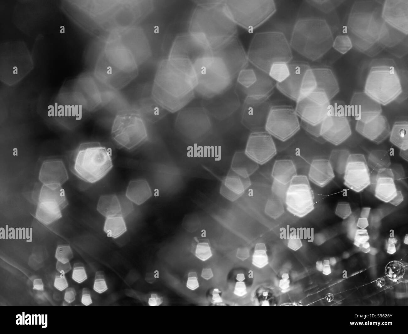 A wet spiderweb provides for a beautiful pattern. A very nice background or screensaver Stock Photo