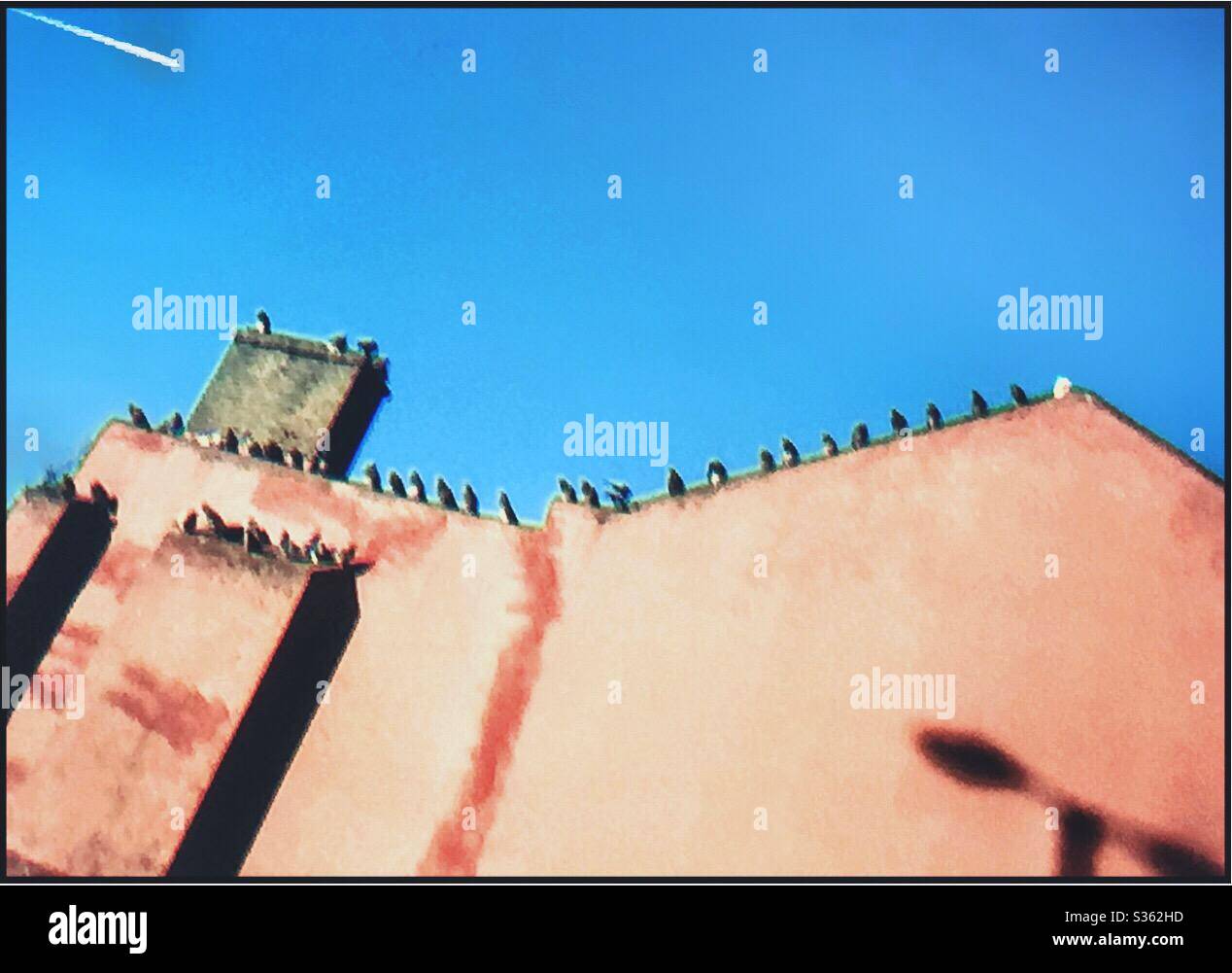 Pigeons on a colourful rooftop. - Smartphone Captured Stock Image