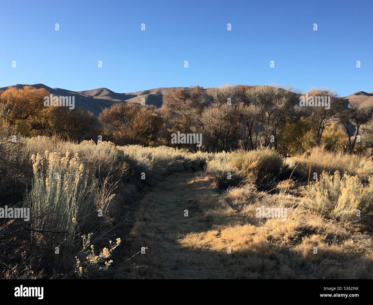 Audobon Kern River Preserve Weldon California Stock Photo