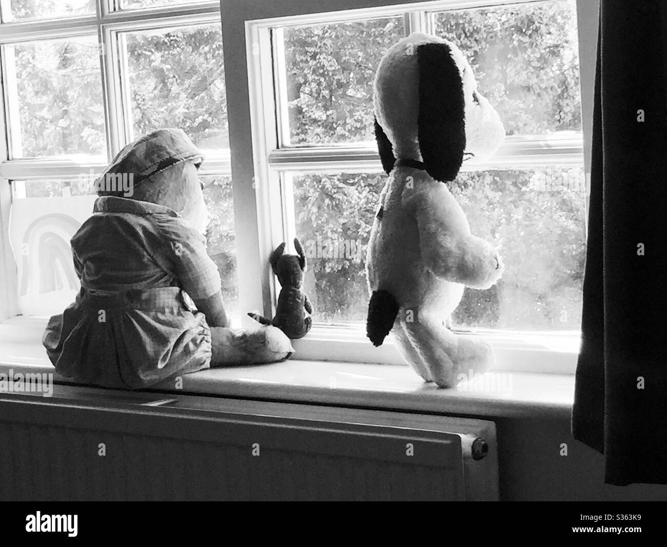 Teddy Bear,Snoopy and Kanga toys looking out of the window Stock Photo