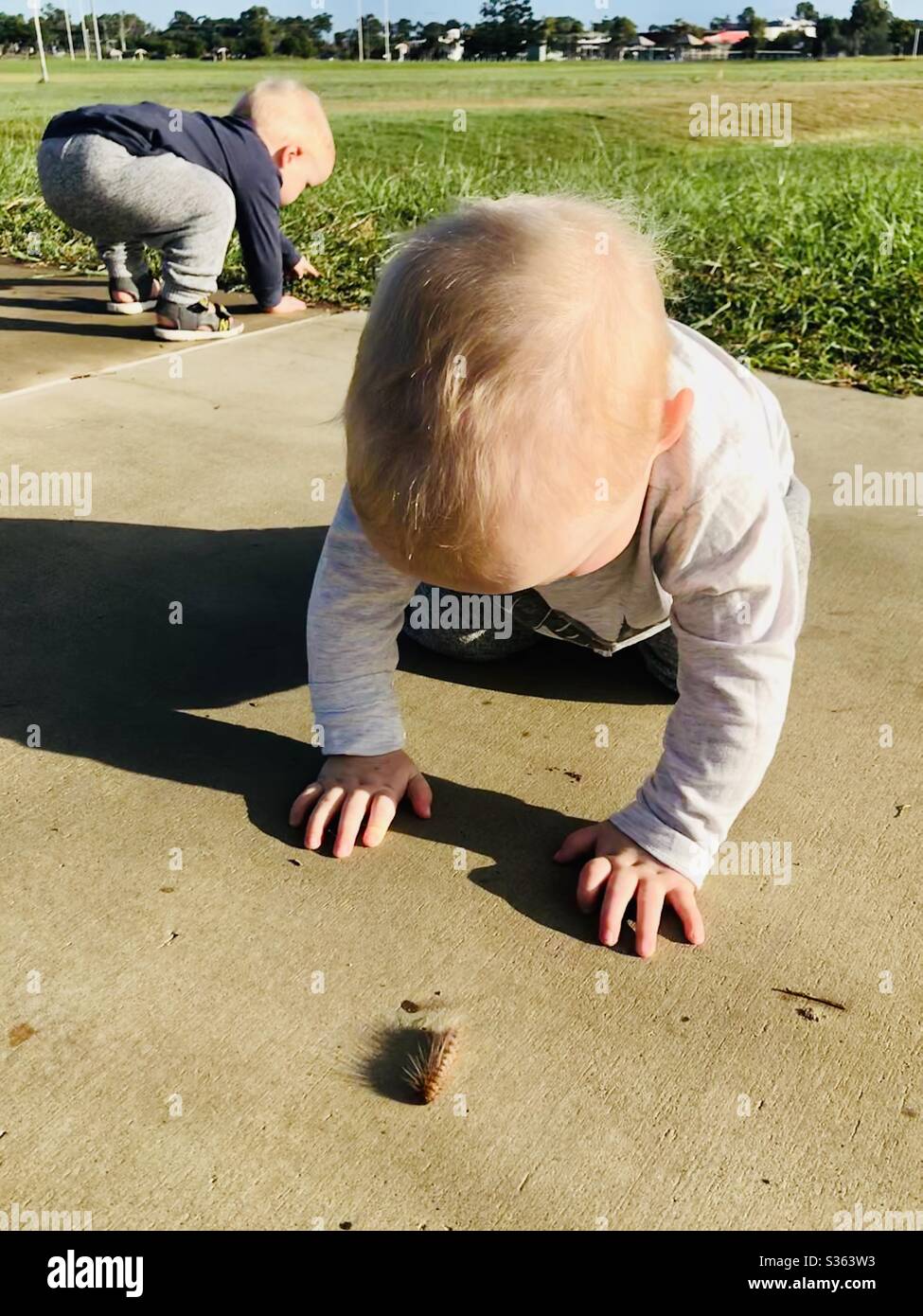 A child’s curiosity for nature. Twin boys caterpillar hunting Stock Photo