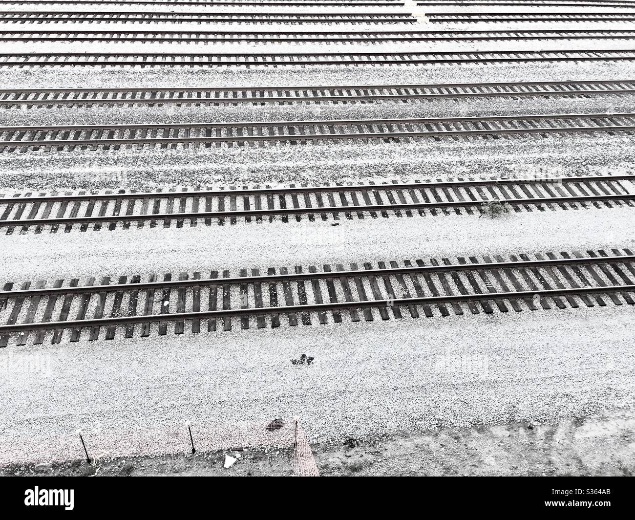 Rows of railroad tracks in black and white, patterns, lines. Rails, railroad ties on gravel. Stock Photo