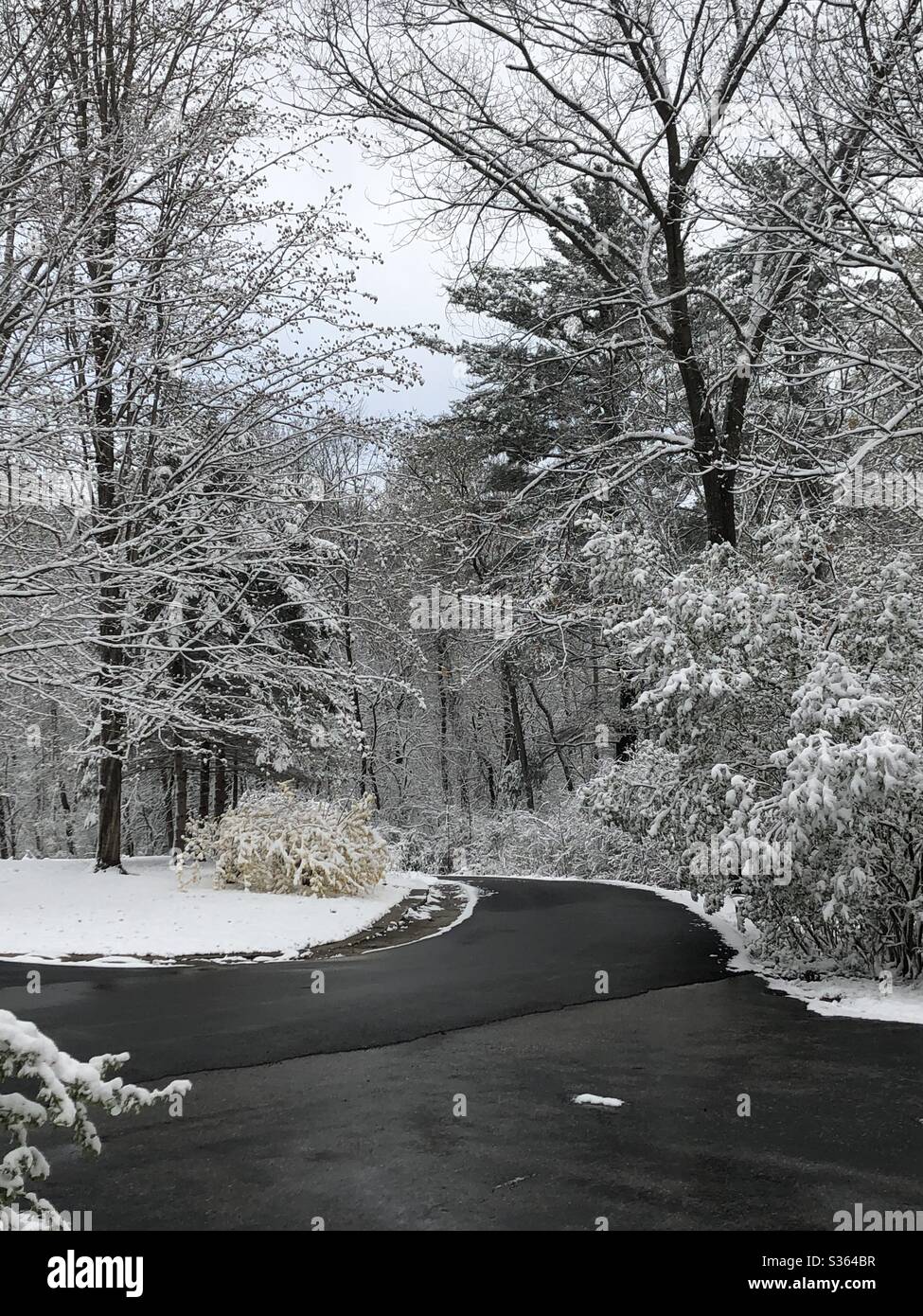 Unexpected late Spring snowfall and wintry weatheron May 9th, 2020 in Bennington, Vermont. Snow covered trees and driveway. Stock Photo