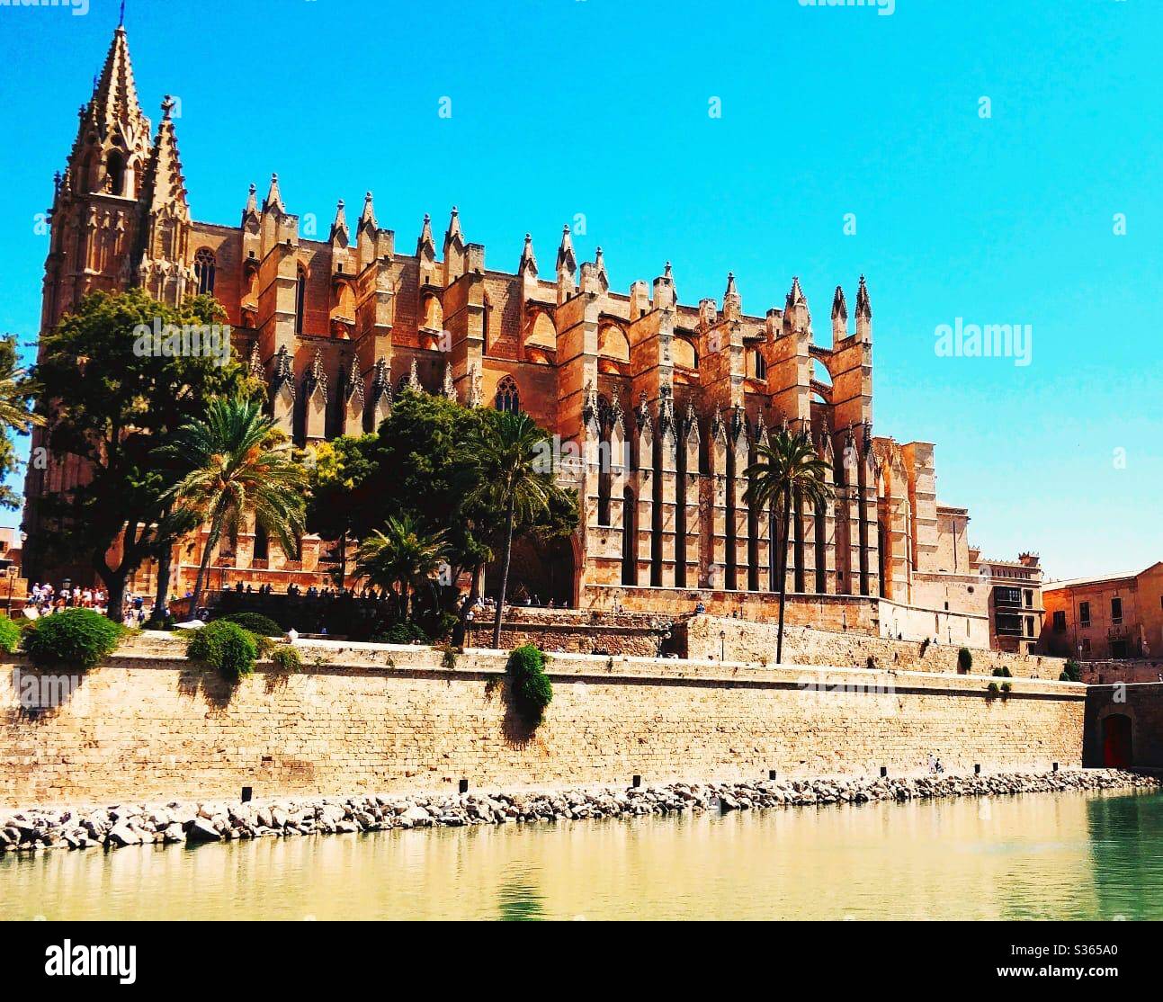 Catedral de Mallorca Stock Photo Alamy