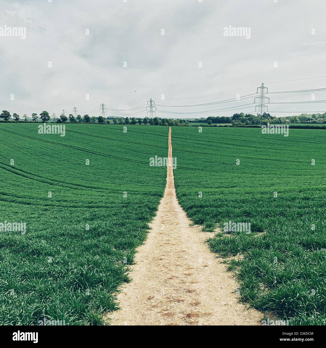 Footpath - Smartphone Captured Stock Image