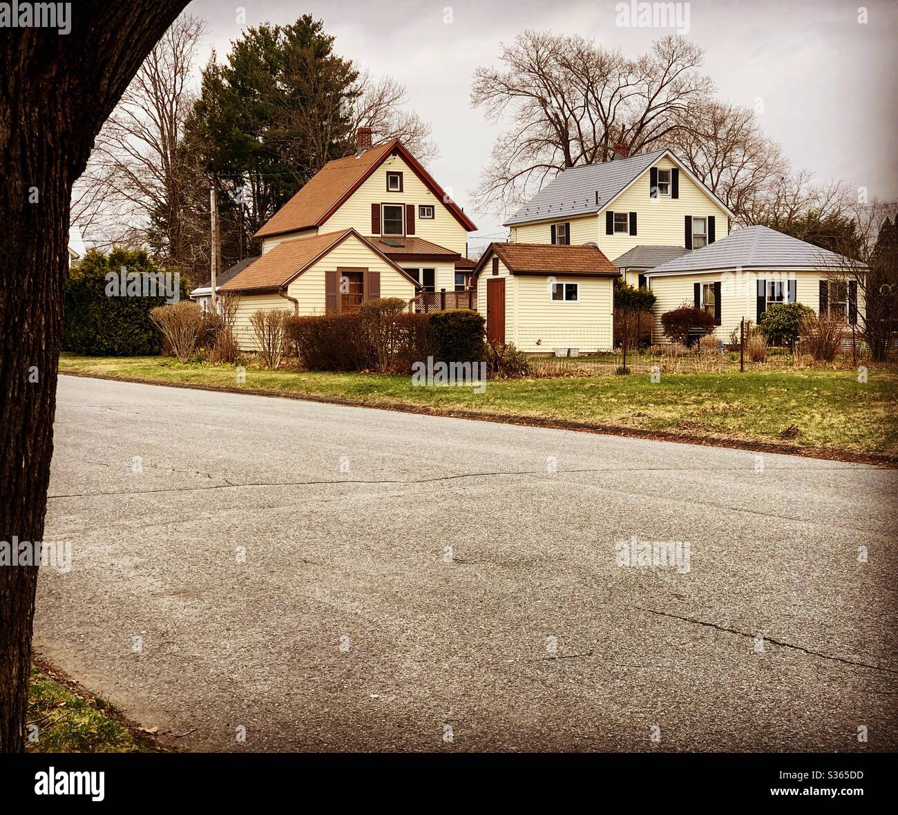 View of houses from across a street in early spring, New England, United States - Smartphone Captured Stock Image