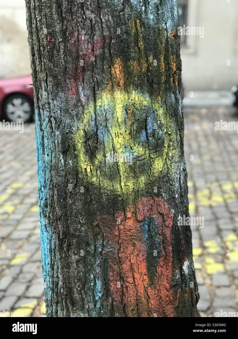 Tree near John Lennon Wall, Prague Stock Photo