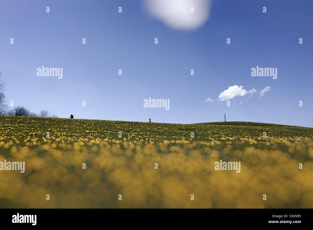 A beautiful Spring day - Smartphone Captured Stock Image