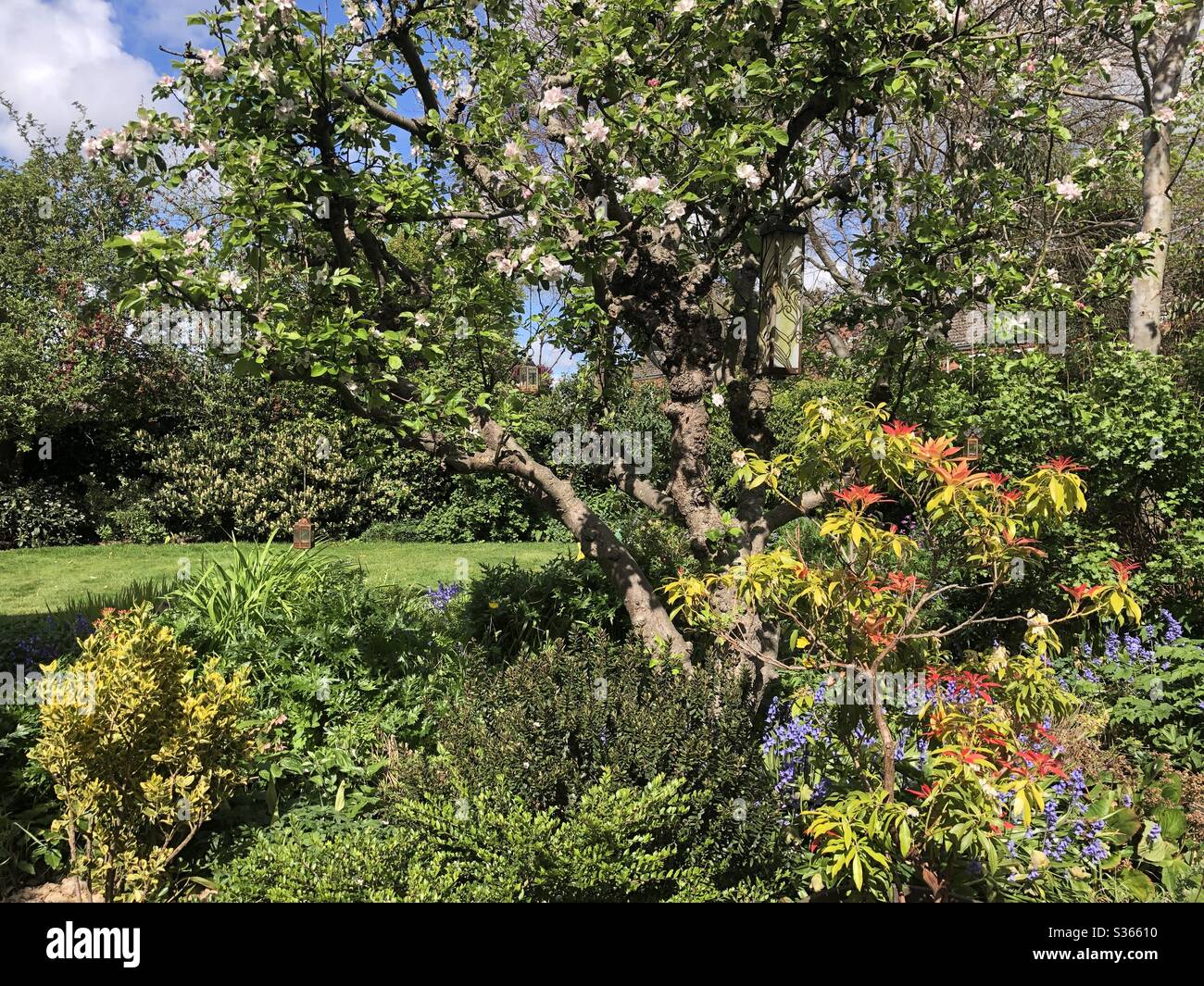Plants with mature hires stock photography and images Alamy