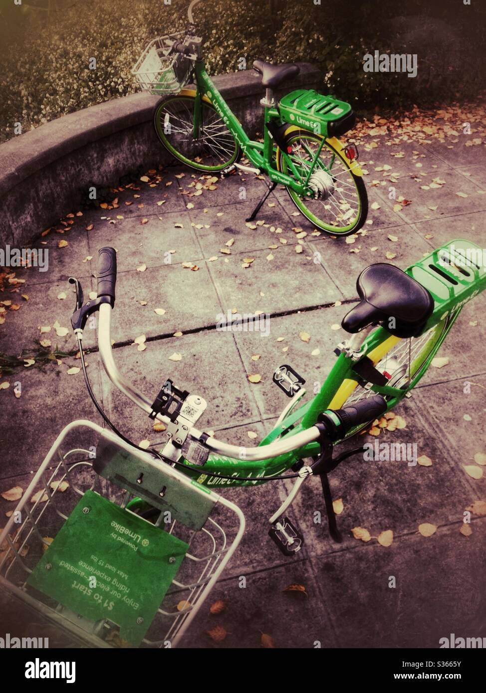 2 Lyme bicycles at Lake Washington, Seattle - Smartphone Captured Stock Image