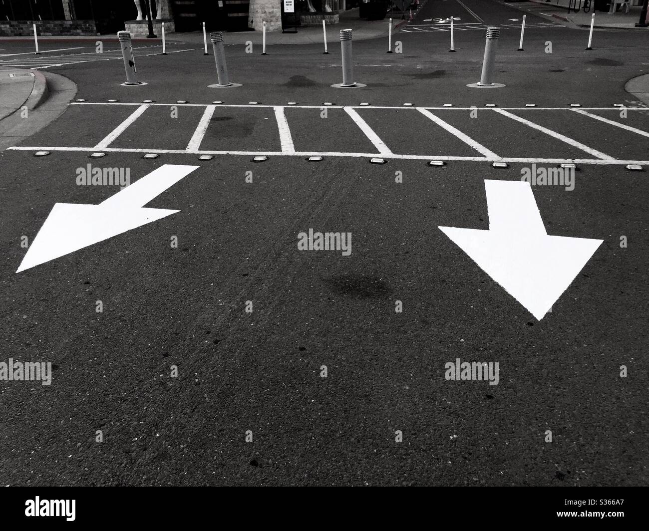 White arrows and crosswalk painted on black pavement. Bay Street, Emeryville, California. Stock Photo