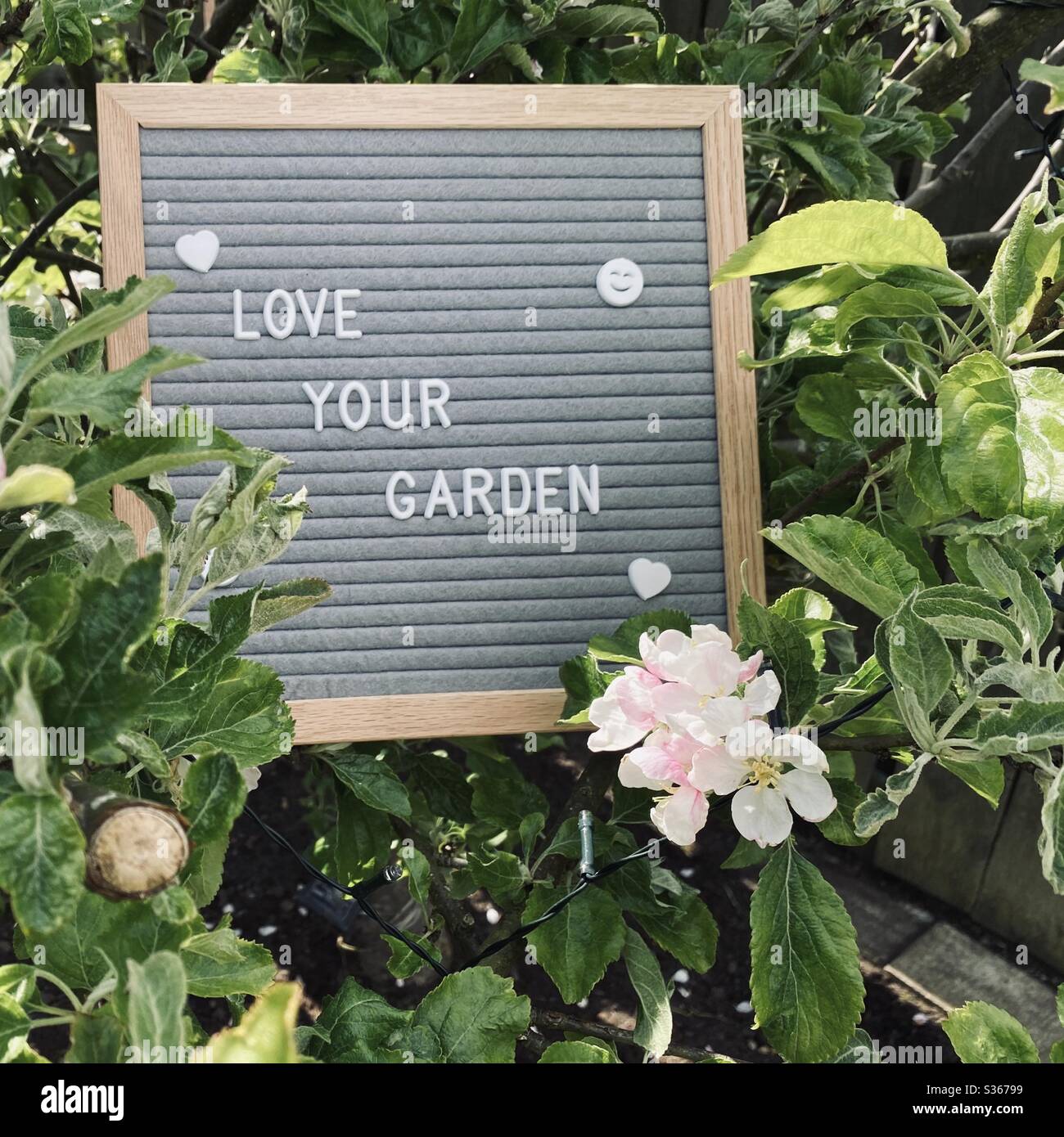 Love your garden. Gardening concept with felt letter board in the branches of an dwarf apple tree with blossom flowers and green foliage. Selective focus view with blurry background and copy space. - Smartphone Captured Stock Image