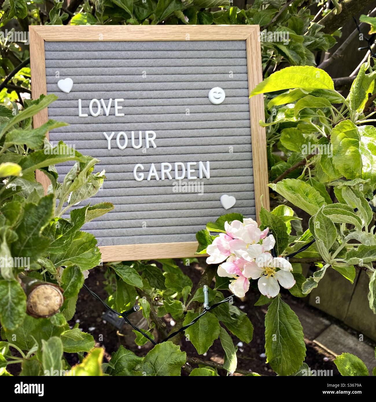 Love your garden. Gardening concept with felt letter board in the branches of an dwarf apple tree with blossom flowers and green foliage. Selective focus view with blurry background and copy space. - Smartphone Captured Stock Image