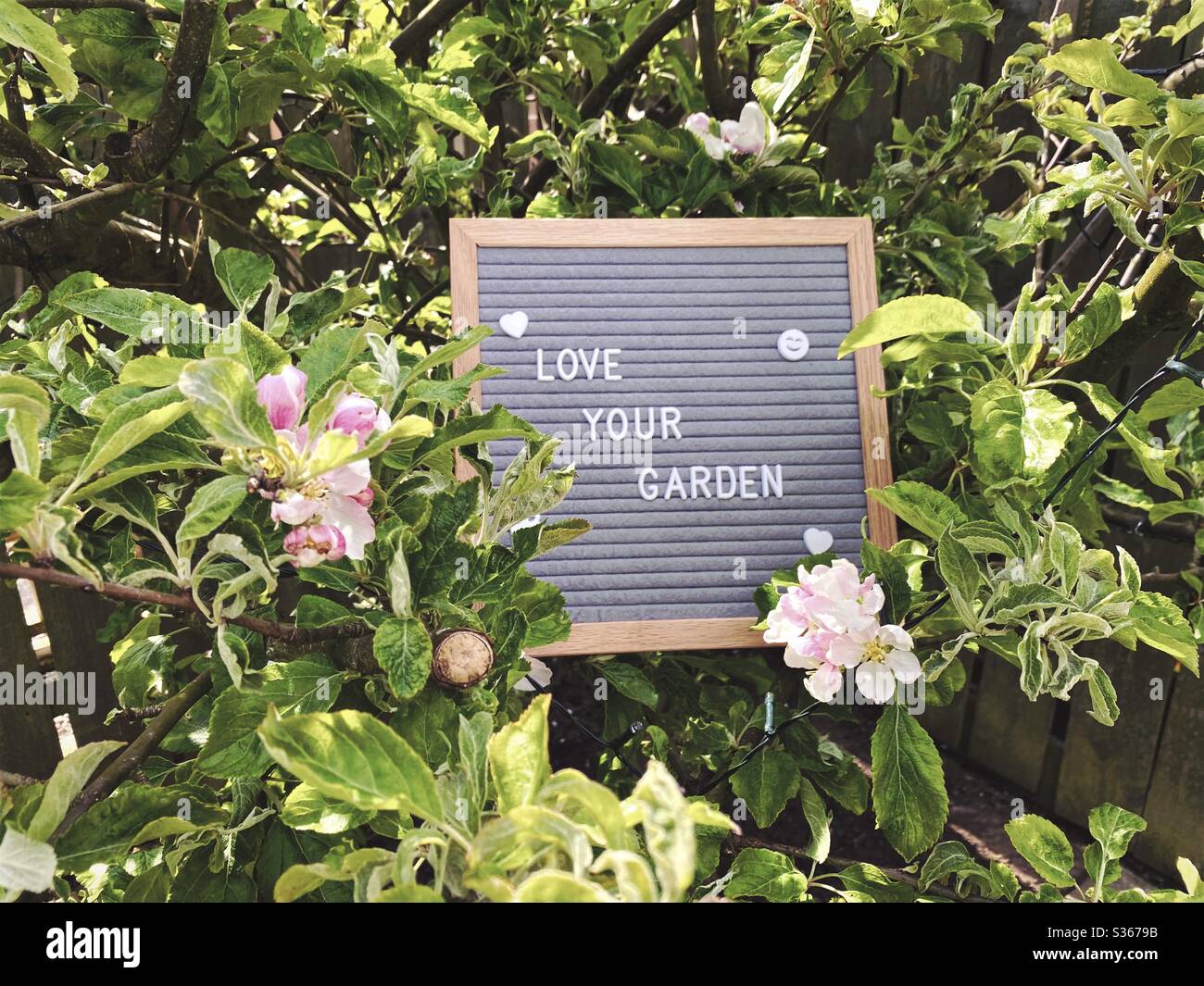 Love your garden. Gardening concept with felt letter board in the branches of an dwarf apple tree with blossom flowers and green foliage. Selective focus view with blurry background and copy space. - Smartphone Captured Stock Image