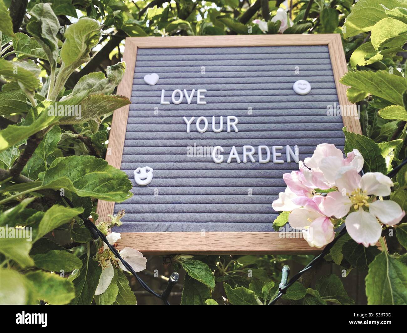 Love your garden. Gardening concept with felt letter board in the branches of an dwarf apple tree with blossom flowers and green foliage. Selective focus view with blurry background and copy space. - Smartphone Captured Stock Image