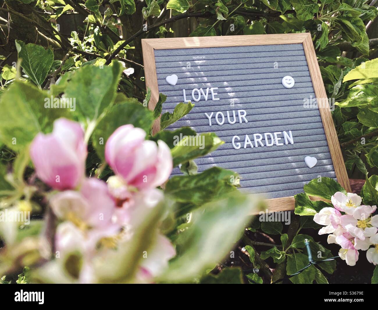 Love your garden. Gardening concept with felt letter board in the branches of an dwarf apple tree with blossom flowers and green foliage. Selective focus view with blurry background and copy space. - Smartphone Captured Stock Image