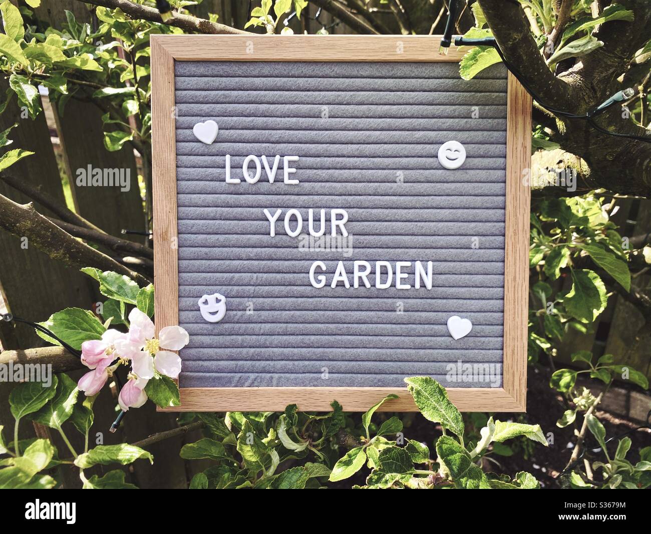 Love your garden. Gardening concept with felt letter board in the branches of an dwarf apple tree with blossom flowers and green foliage. Selective focus view with blurry background and copy space. - Smartphone Captured Stock Image