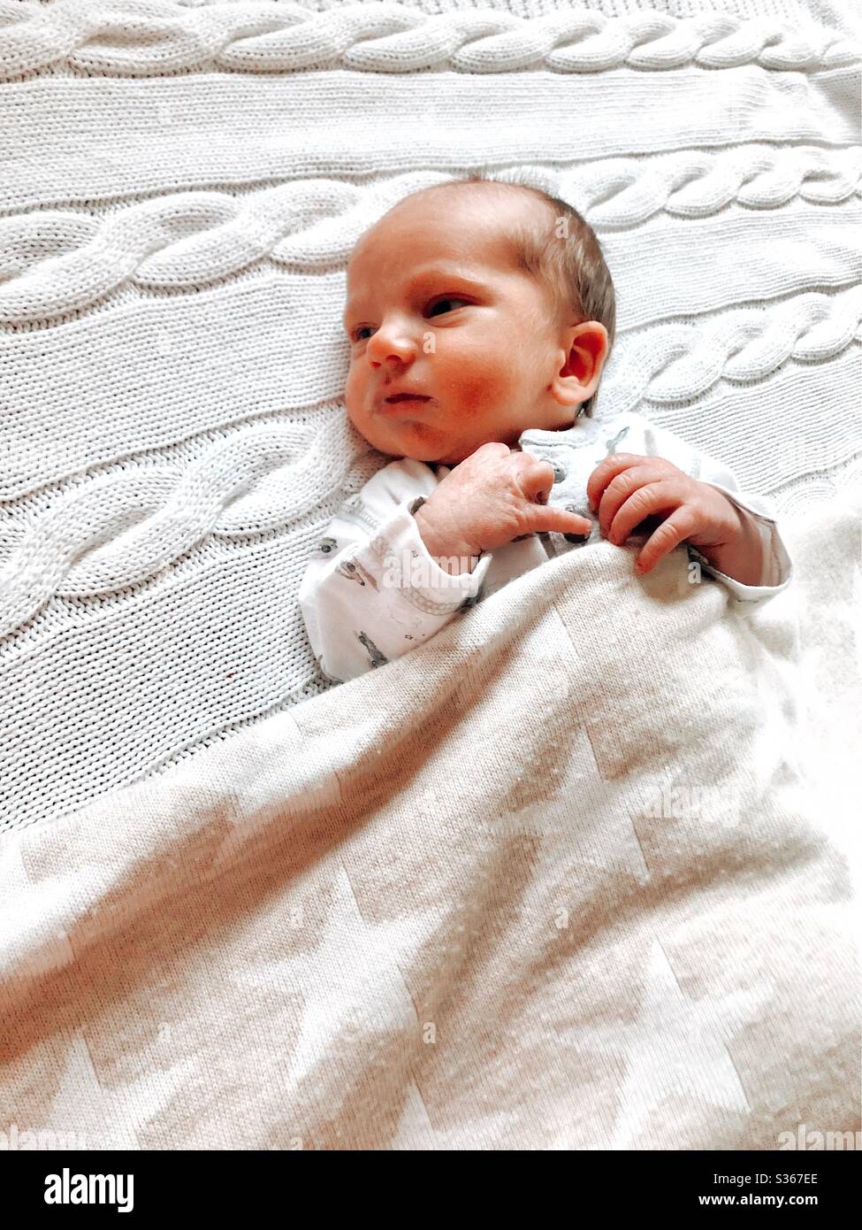 Baby in a blanket Stock Photo Alamy