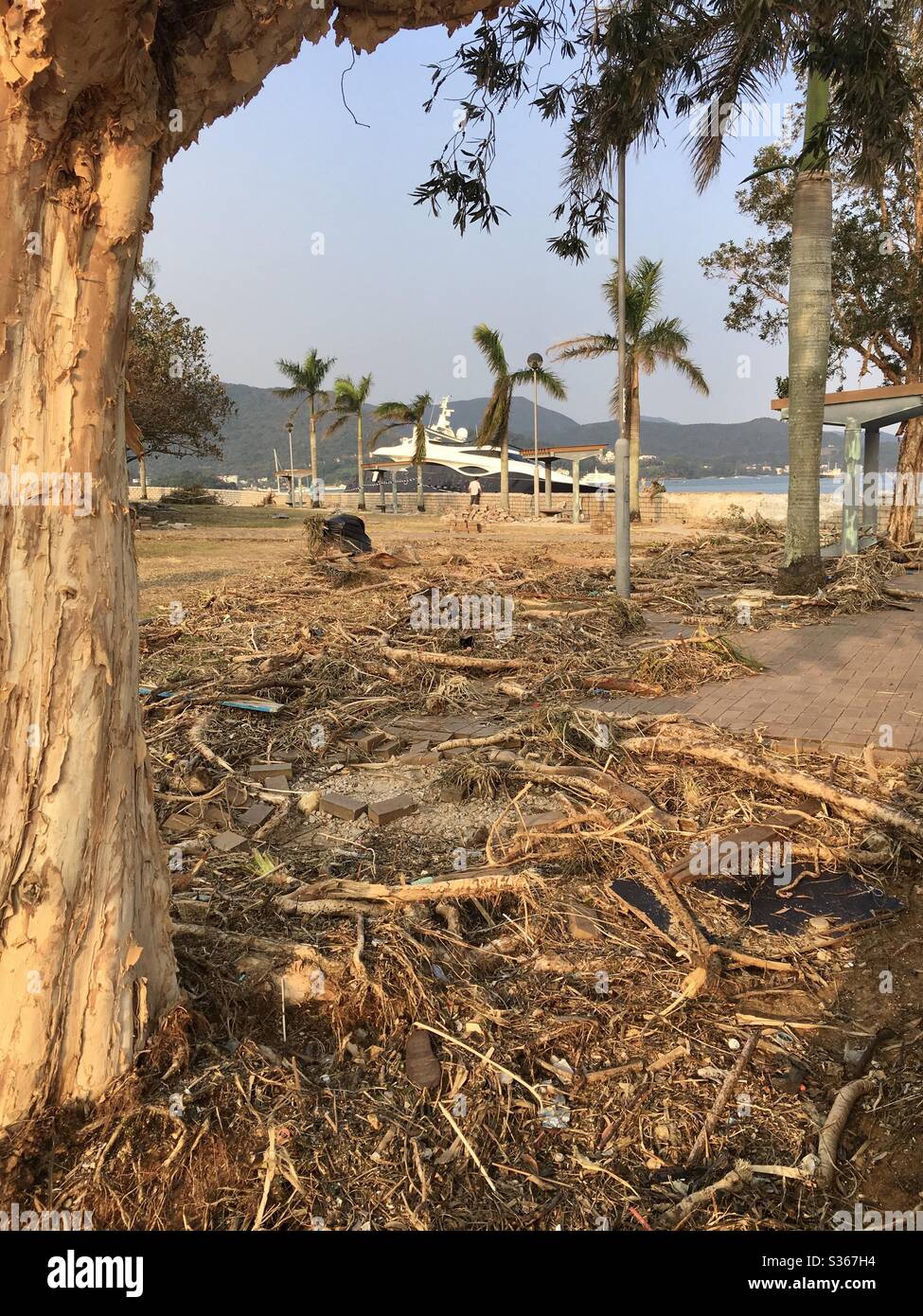 Super Yacht washed ashore during typhoon Mangkhut in Sai Kung, Hong Kong in 2018 - Smartphone Captured Stock Image