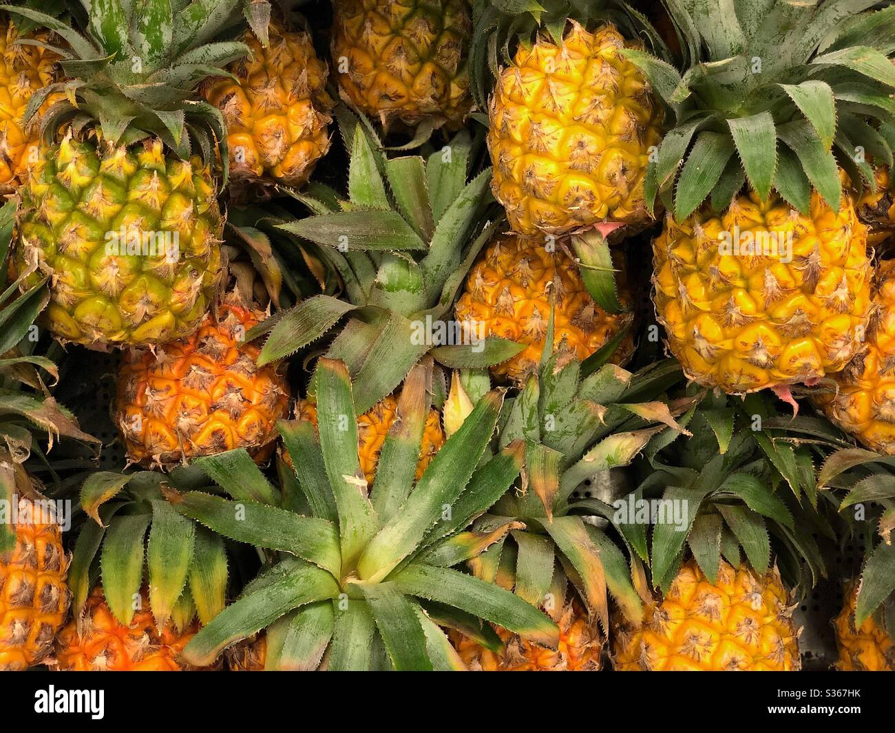 Pineapple is loaded with vitamin C. Vitamins make the skin beautiful