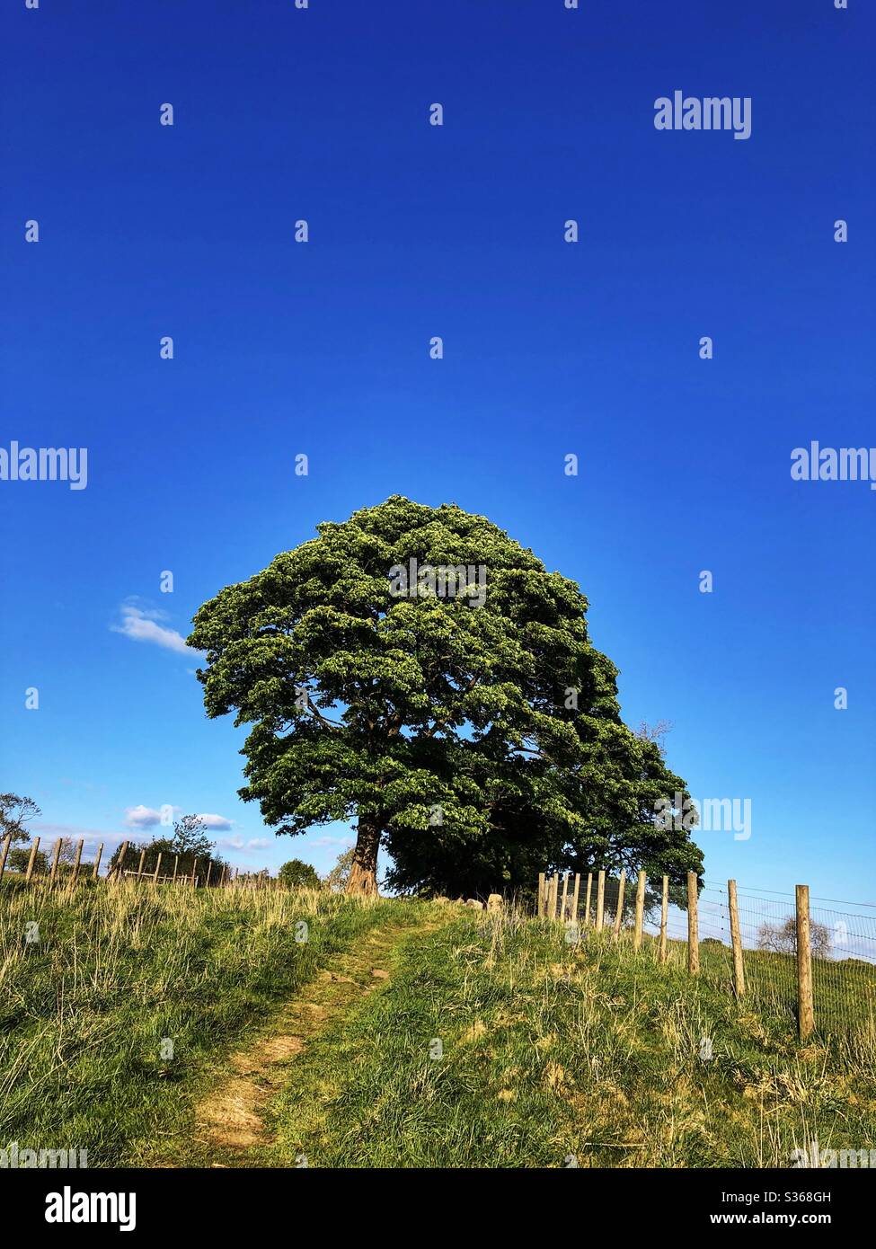 Footpath on Wills Gill Guiseley West Yorkshire - Smartphone Captured Stock Image